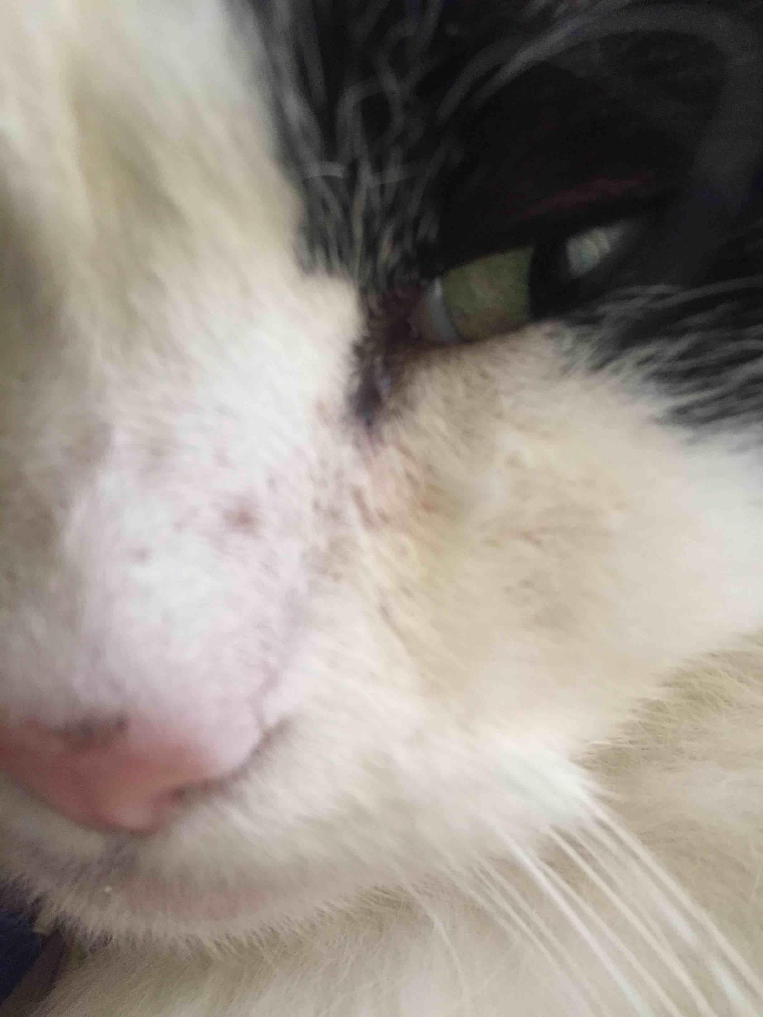 Question details sensitive content