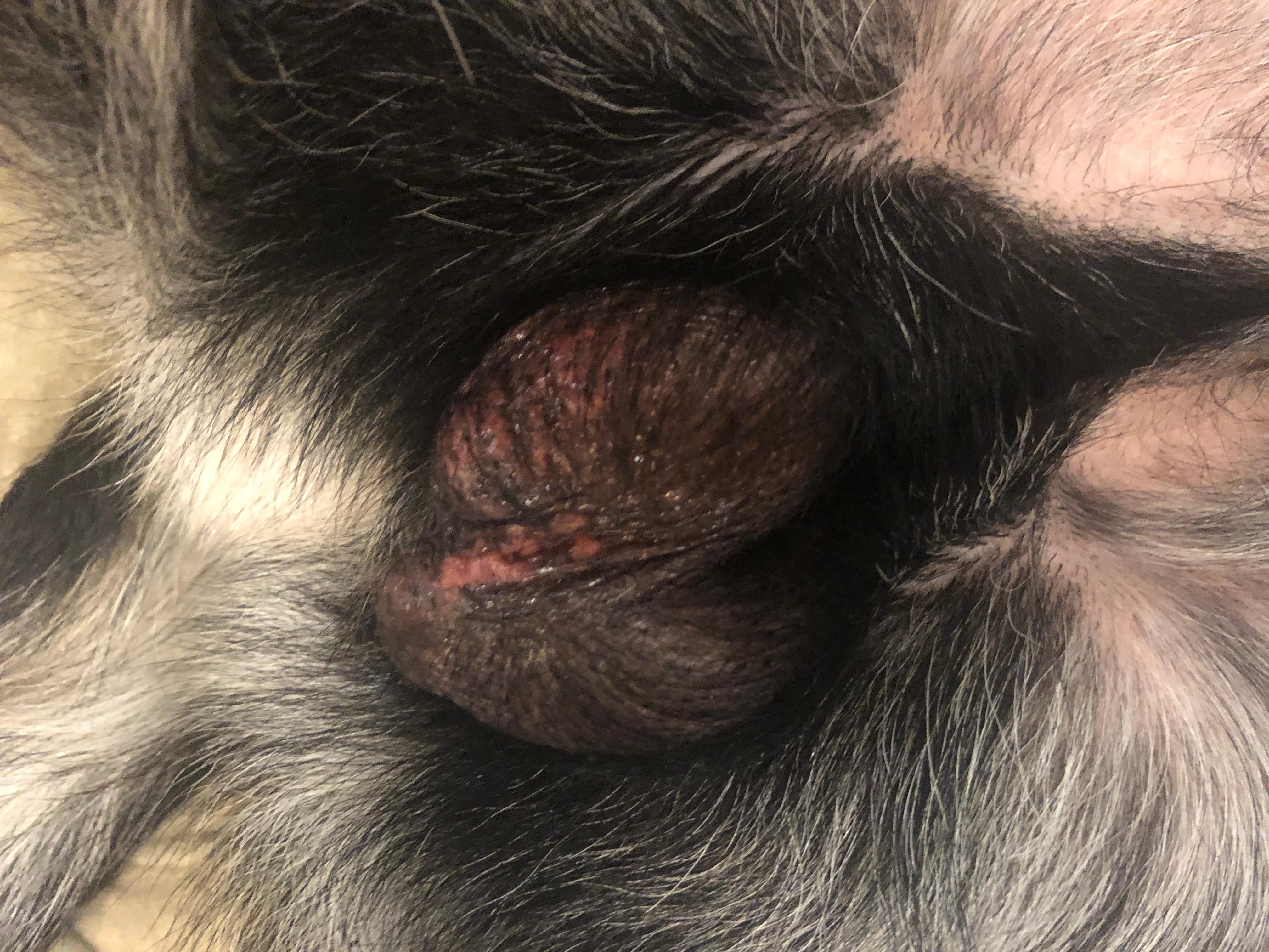 Question details sensitive content