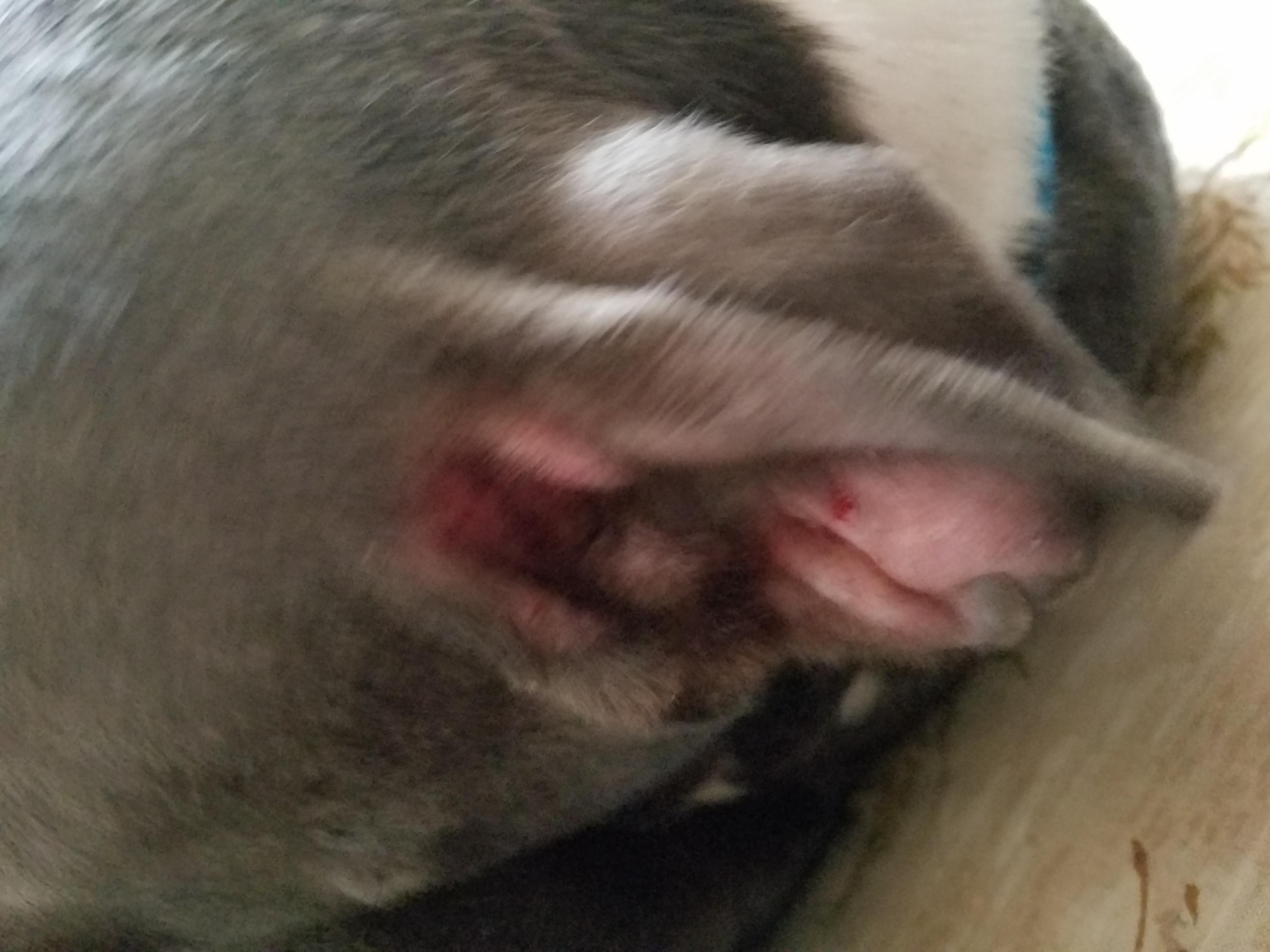 Question details sensitive content