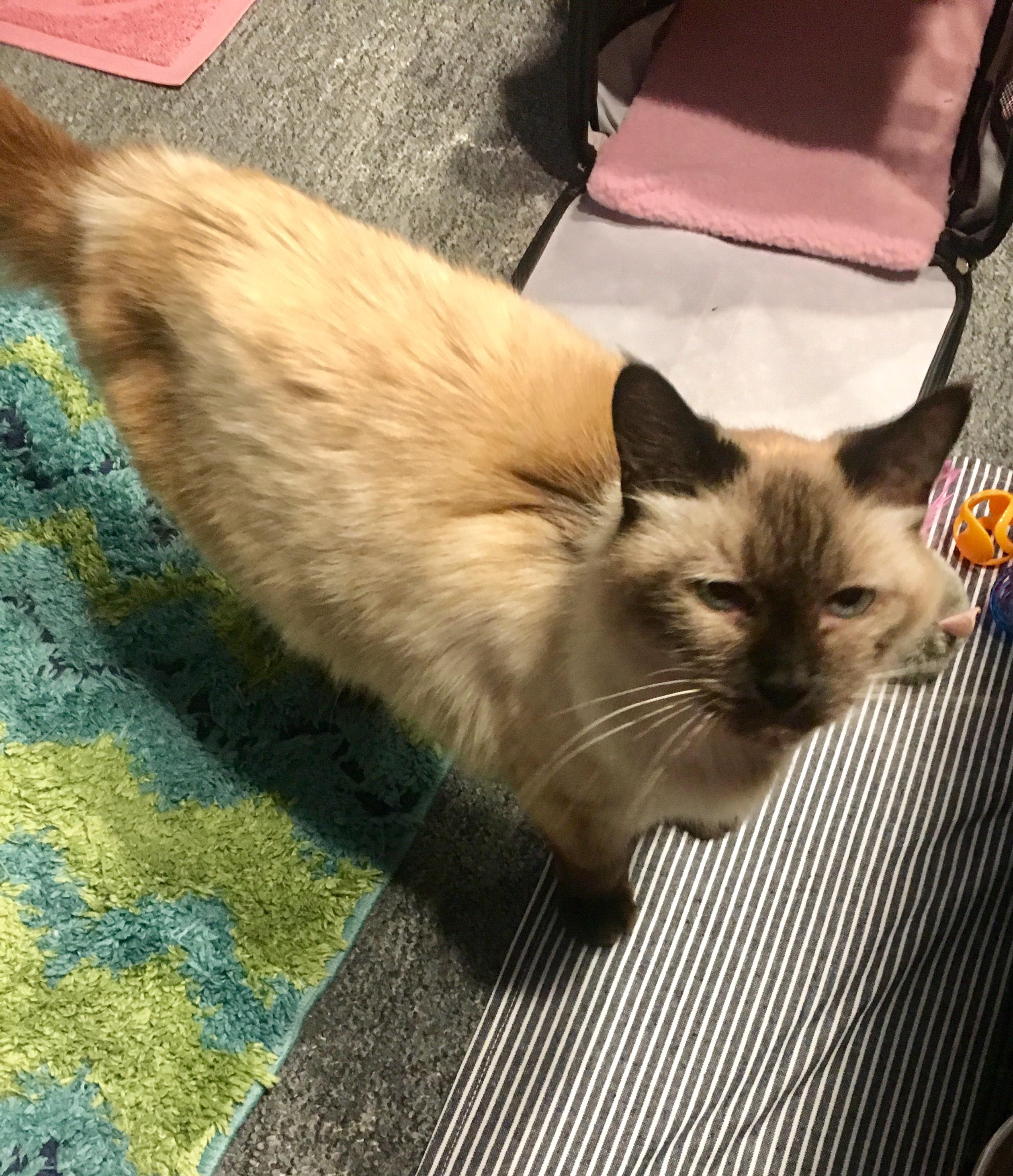 Question details sensitive content