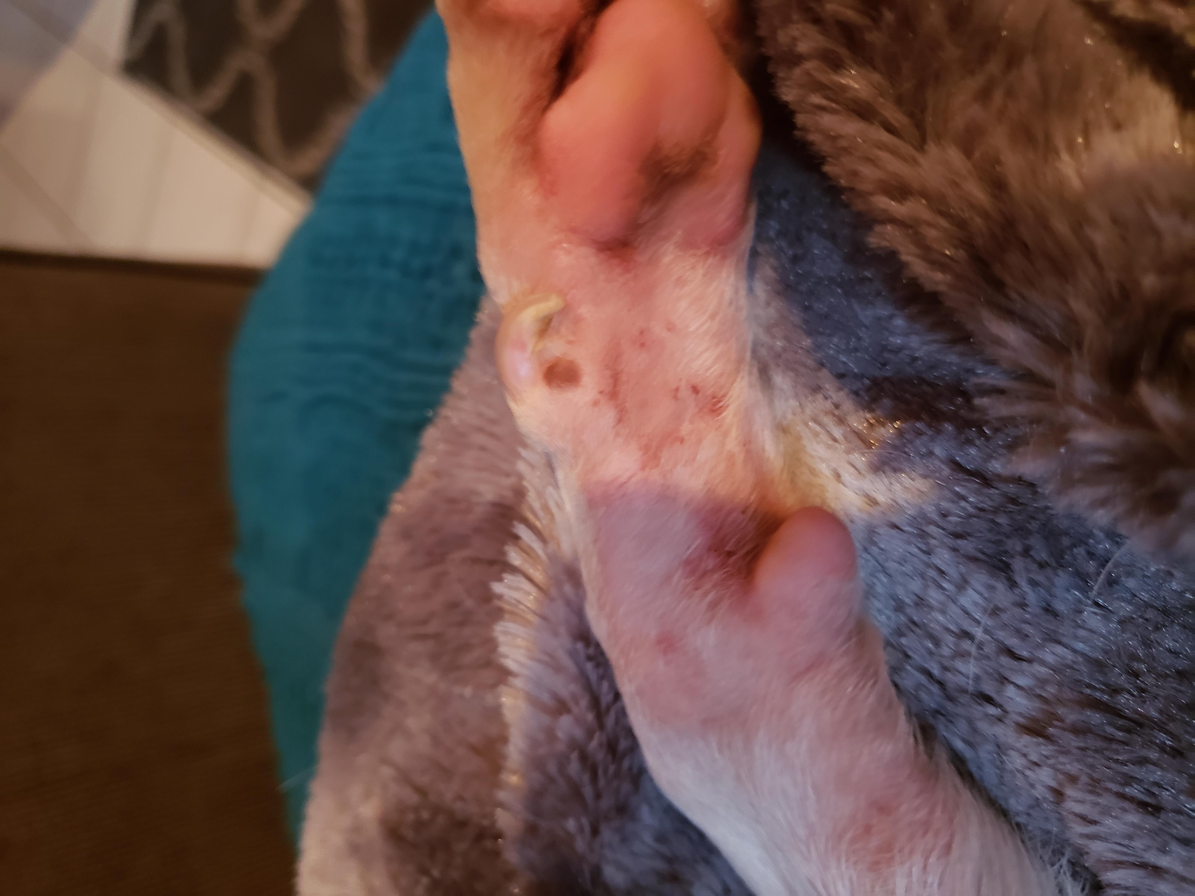 Question details sensitive content