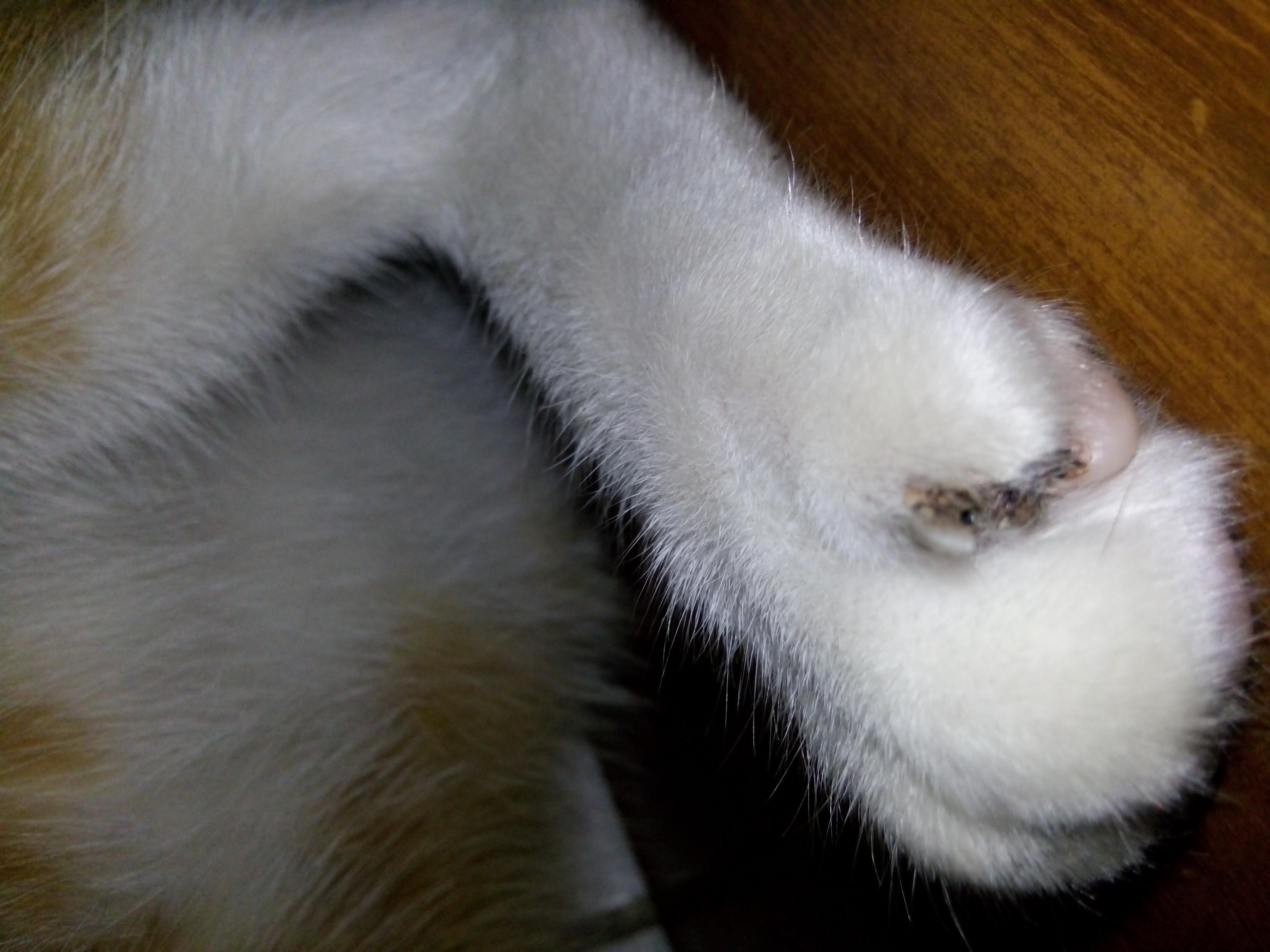 Question details sensitive content