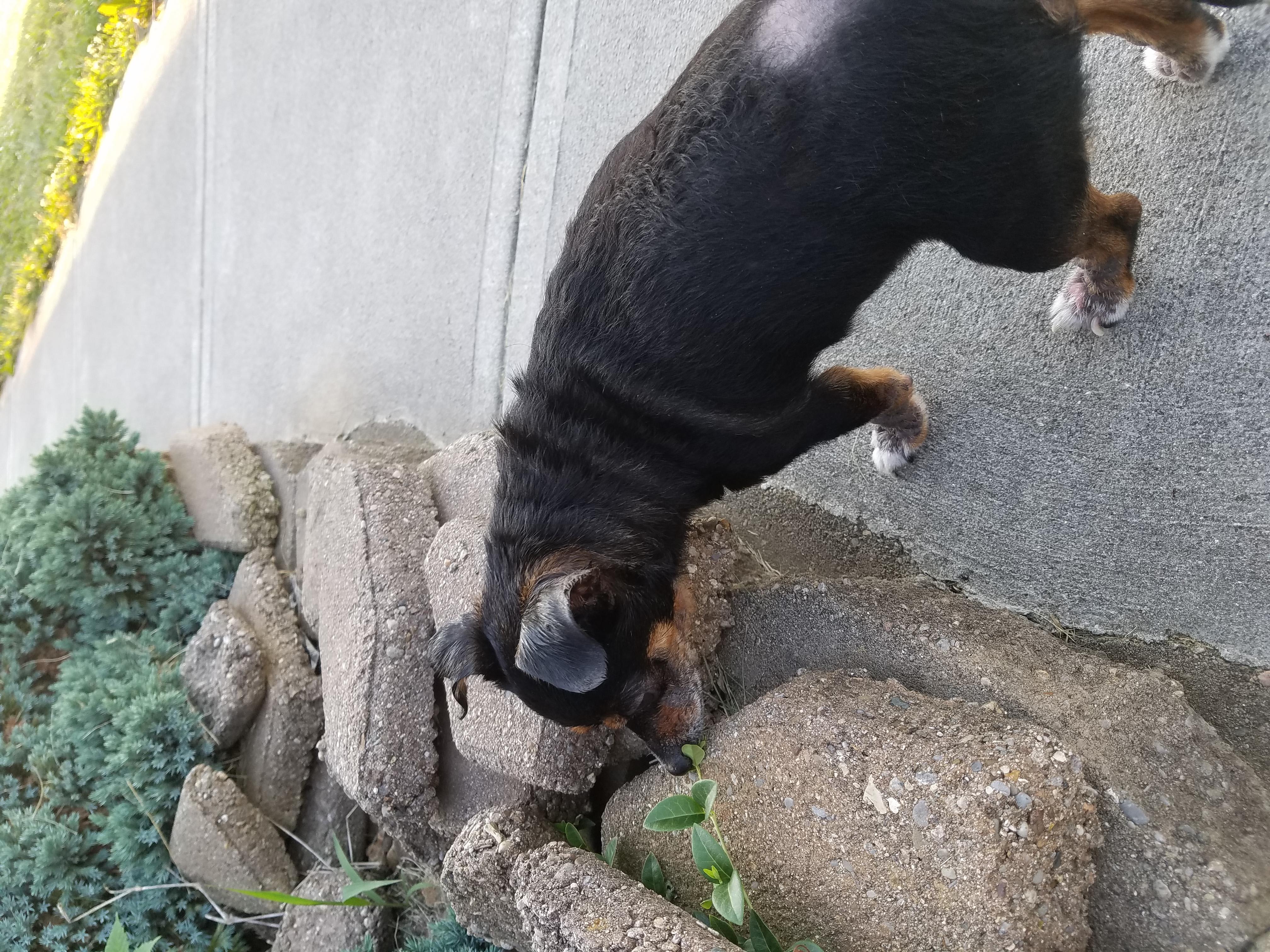 Question details sensitive content