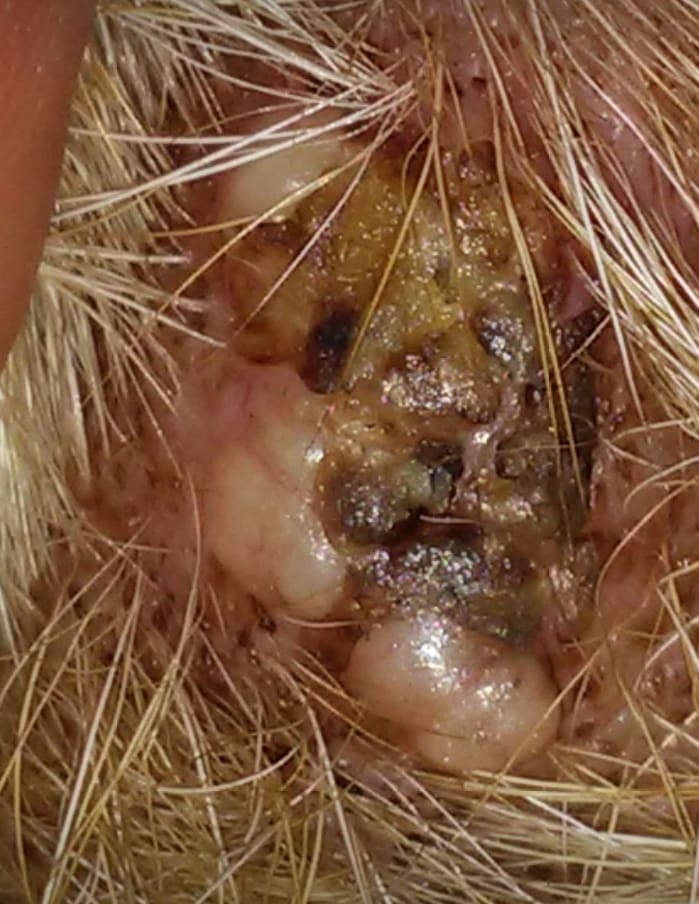 Question details sensitive content