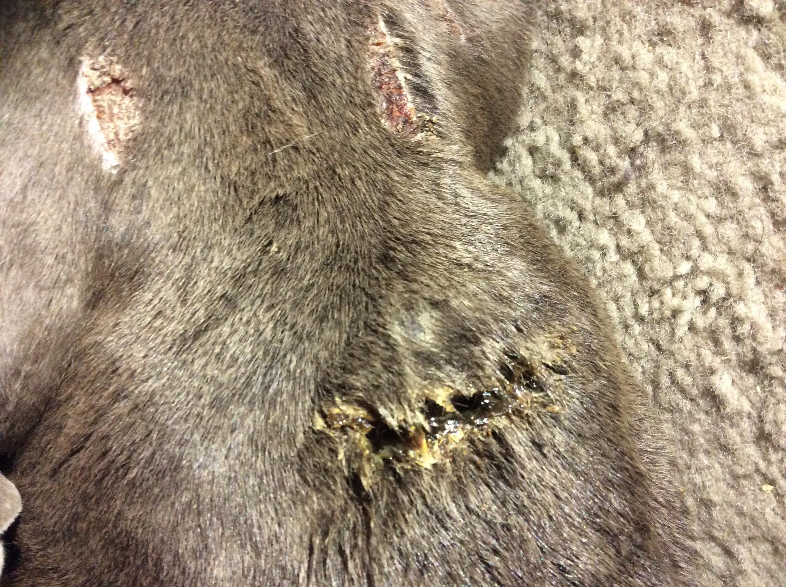 Question details sensitive content