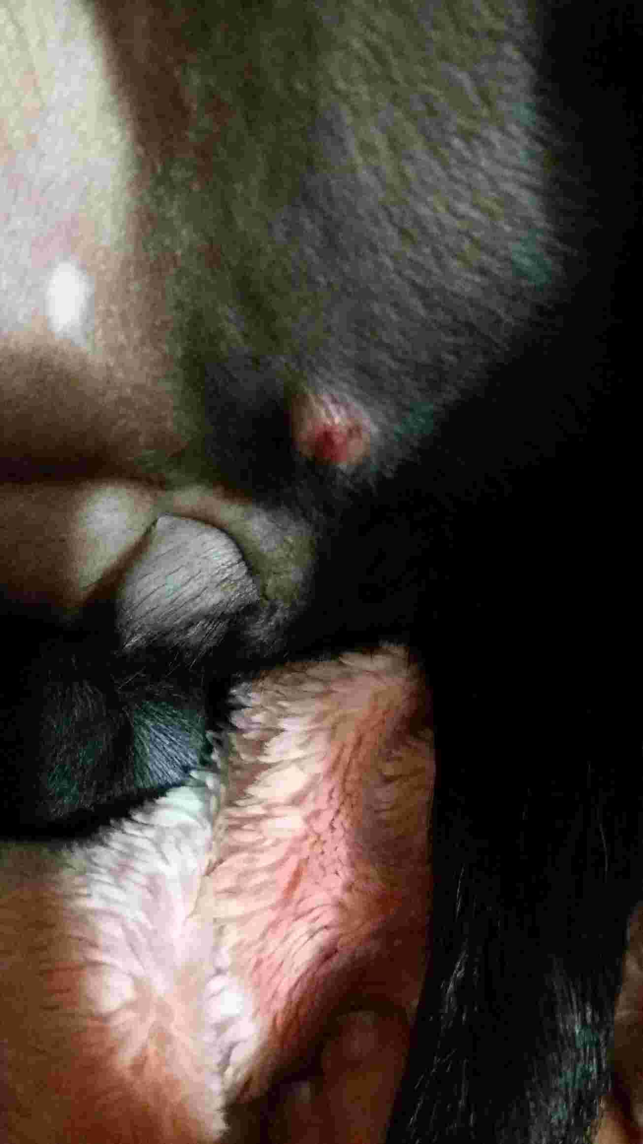 Question details sensitive content