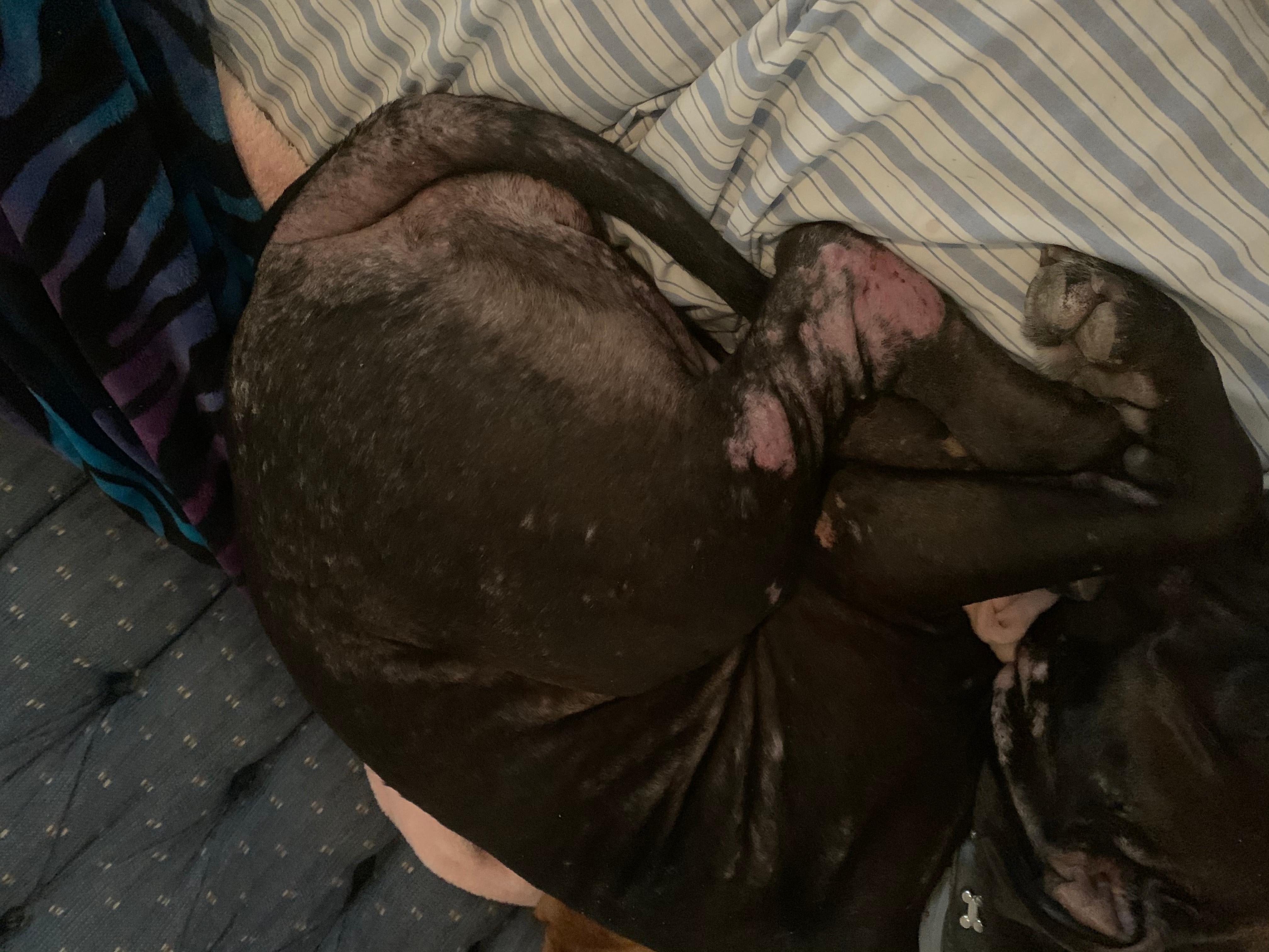 Question details sensitive content