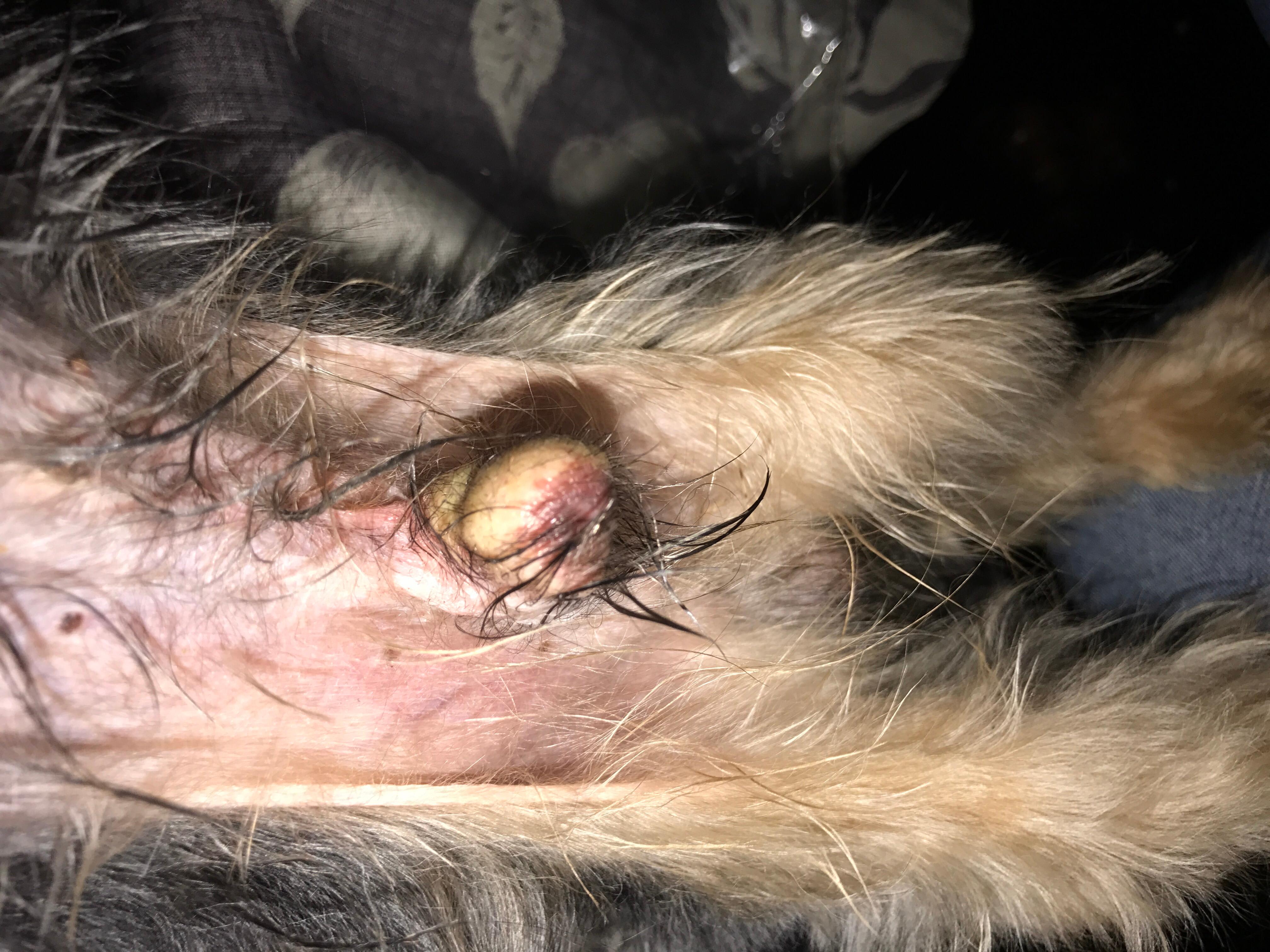 Question details sensitive content