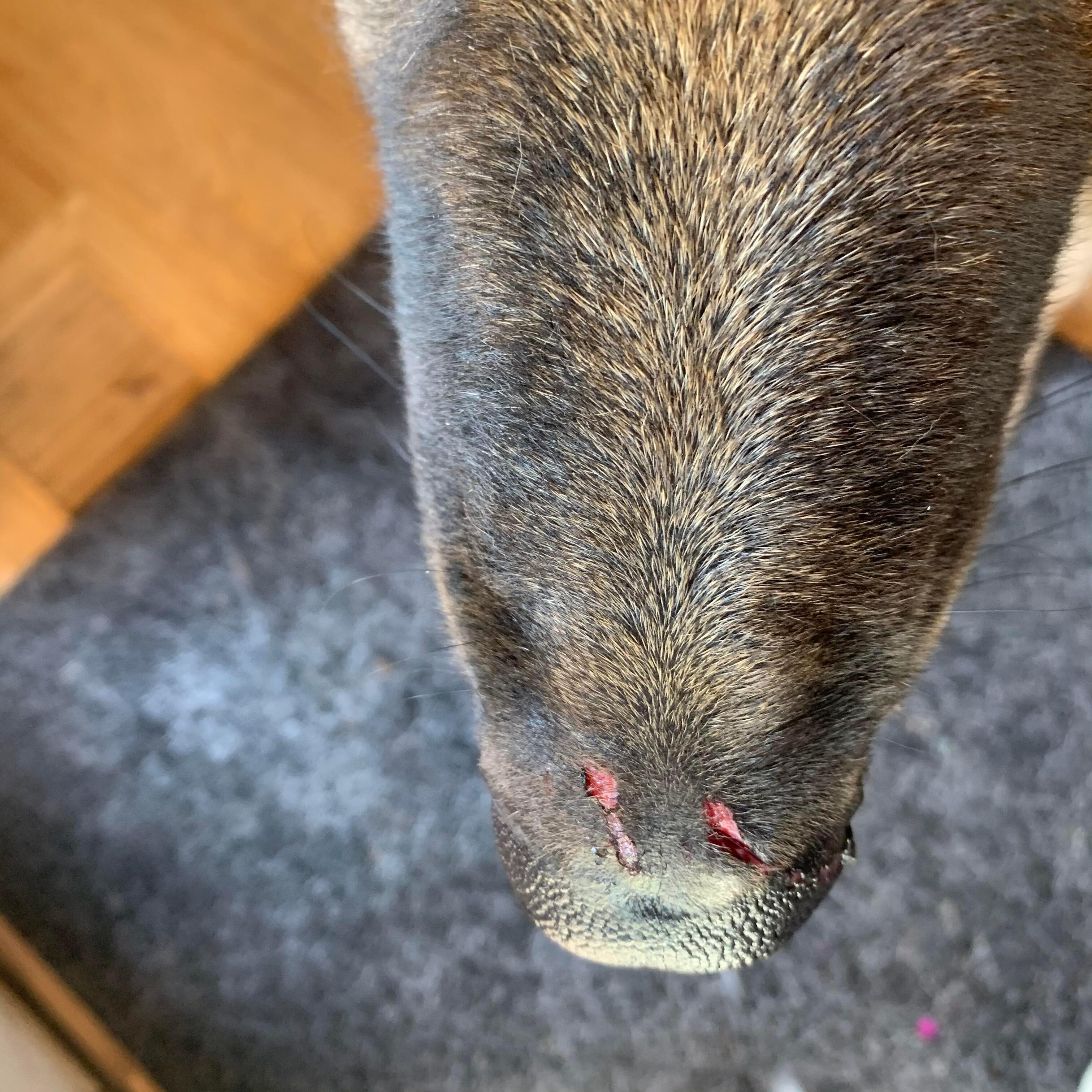 Question details sensitive content