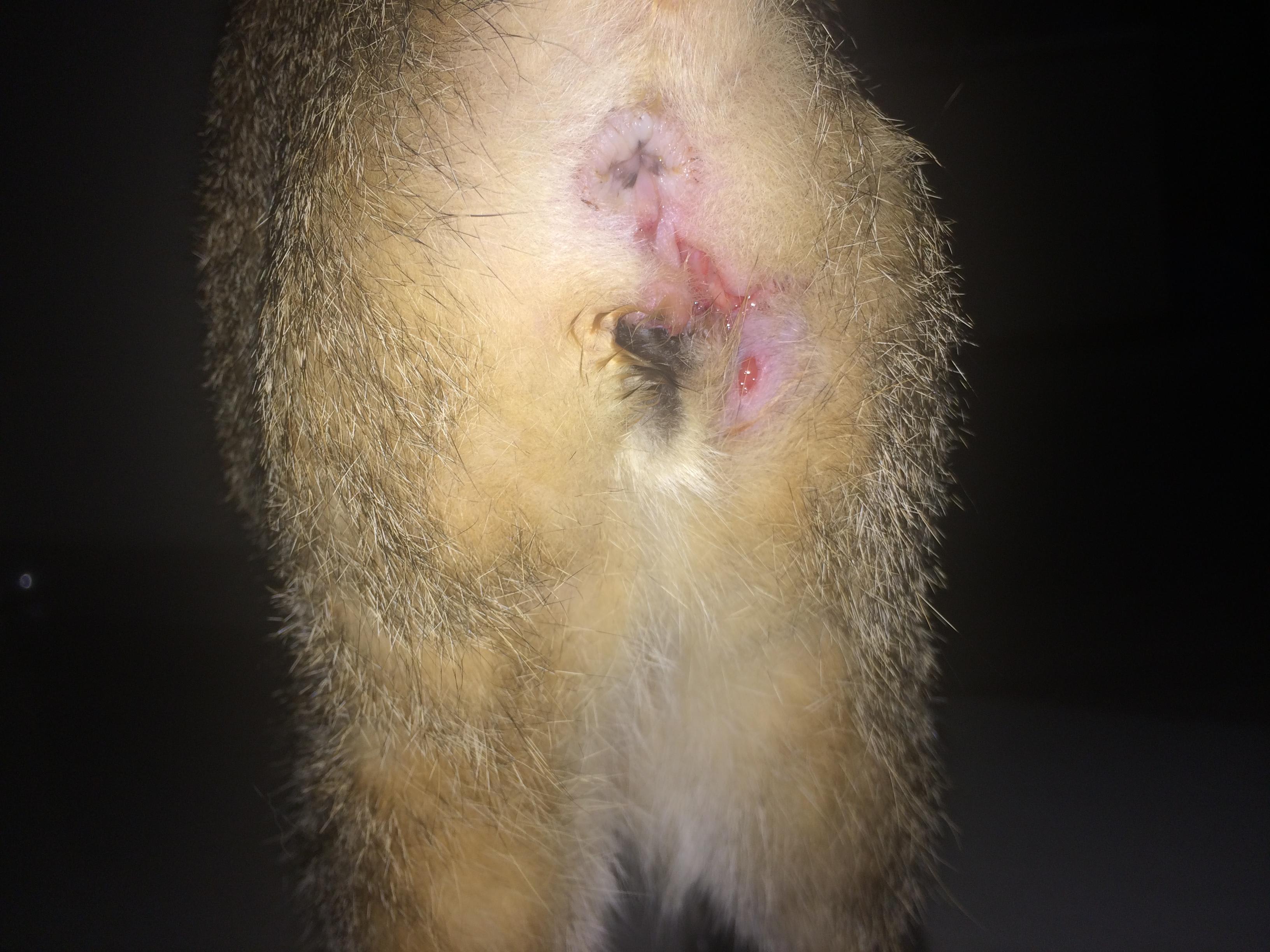 Question details sensitive content