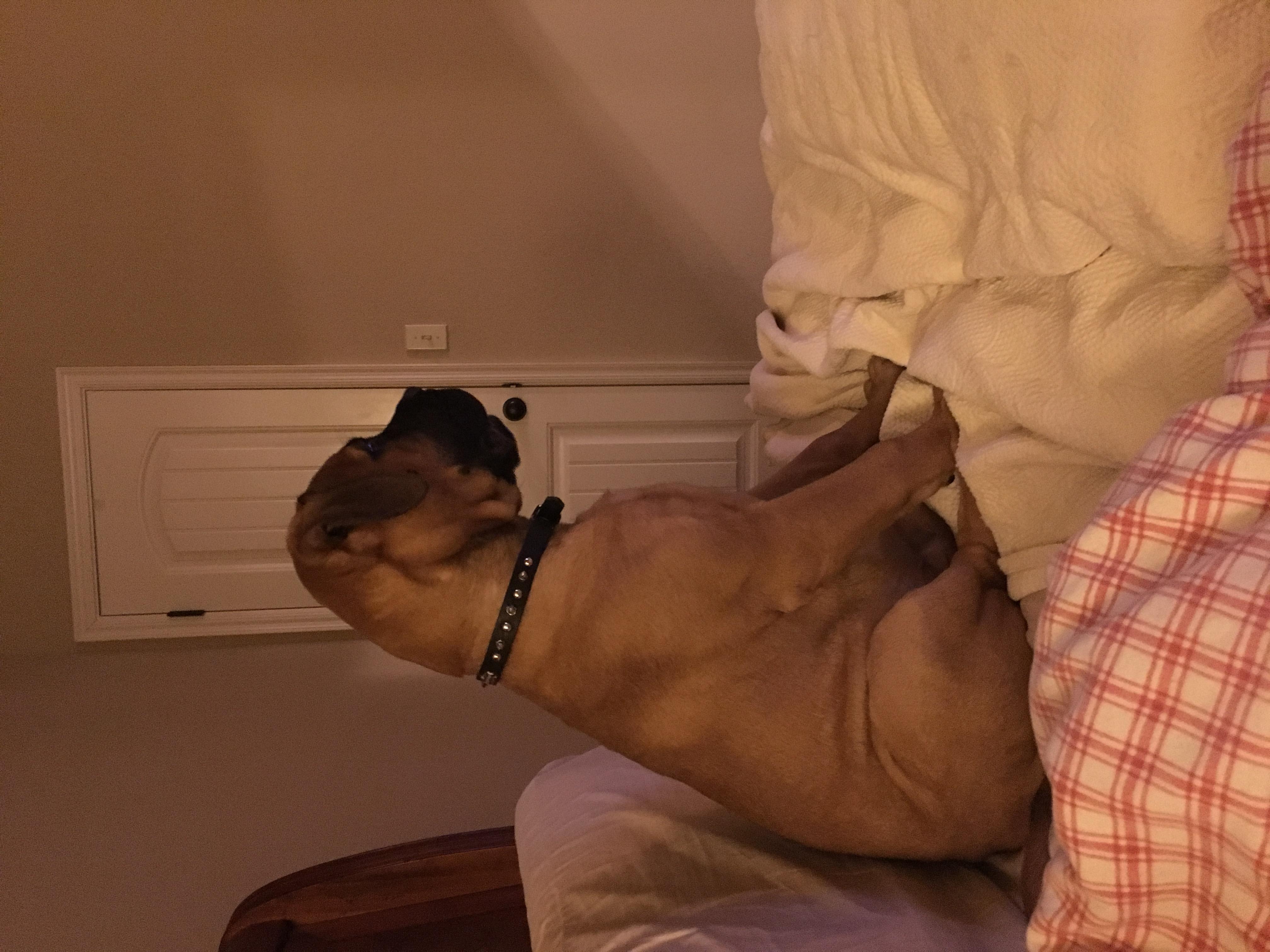 Question details sensitive content