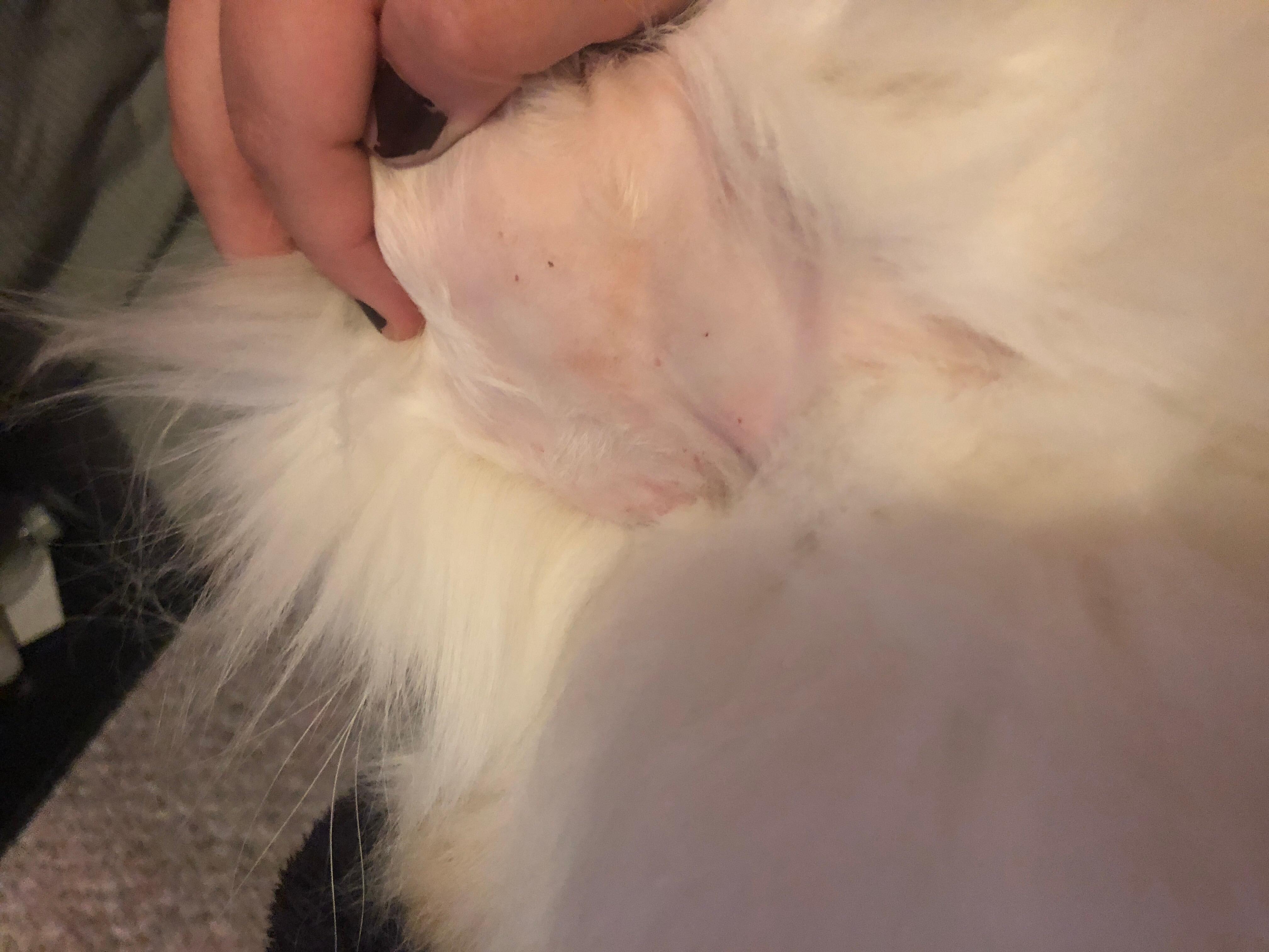 Question details sensitive content