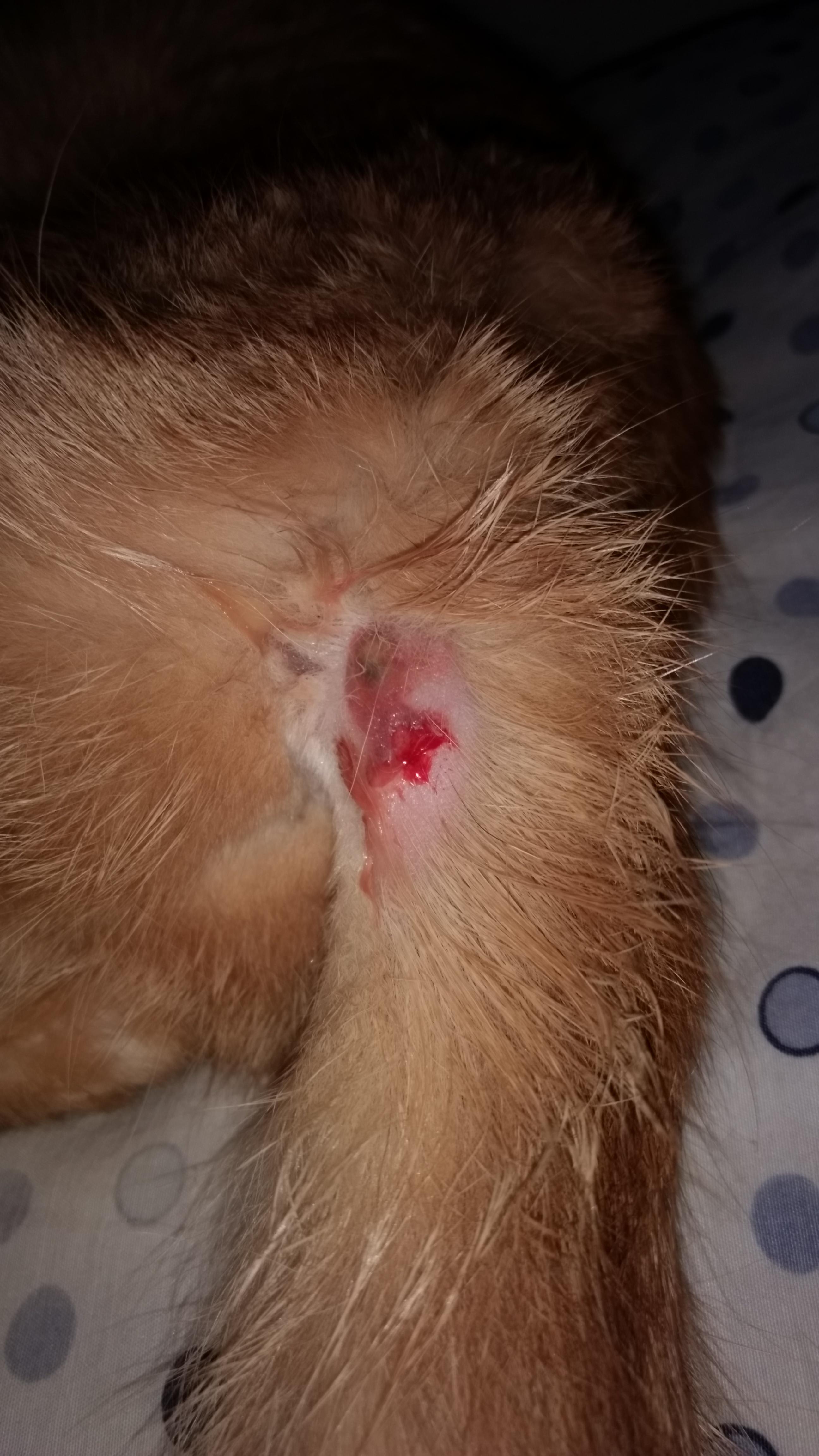 Question details sensitive content