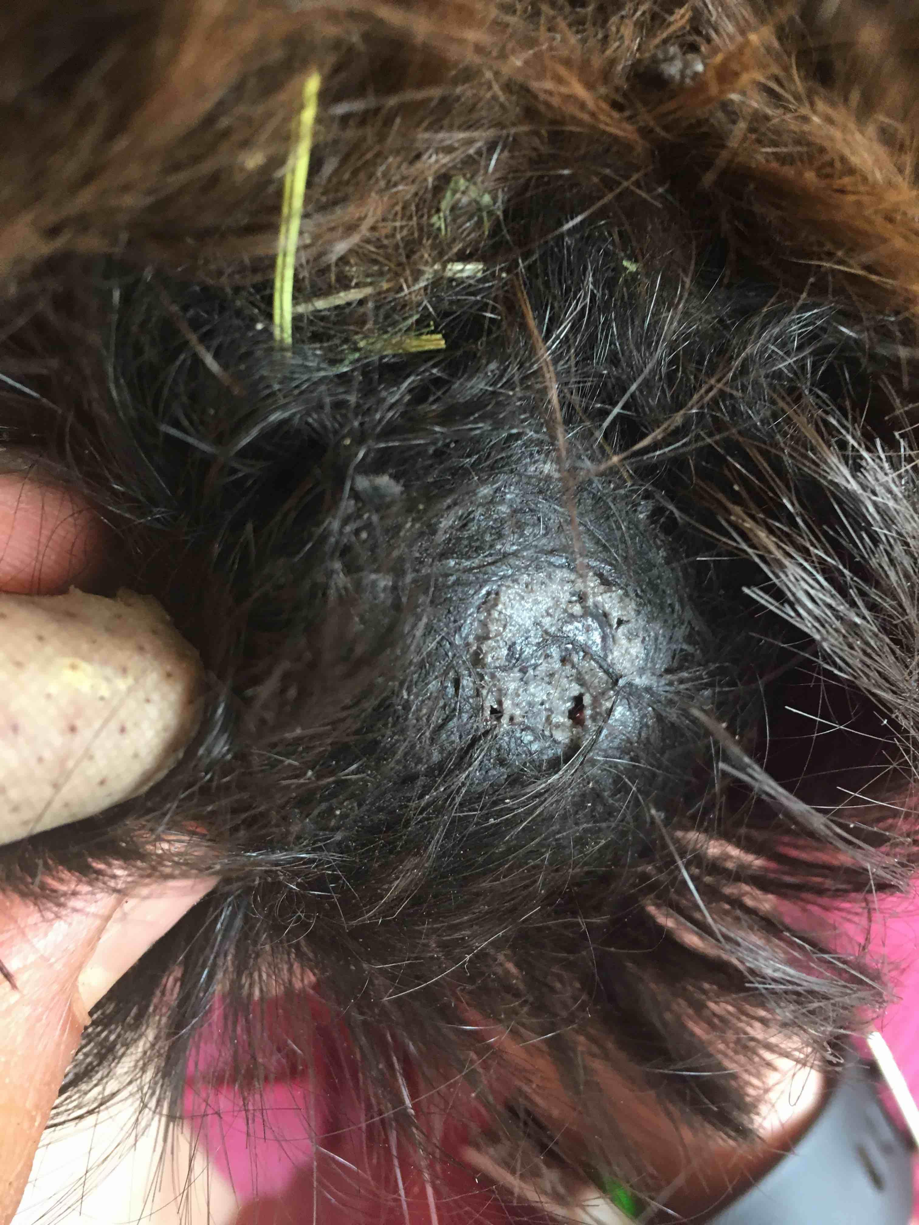 Question details sensitive content