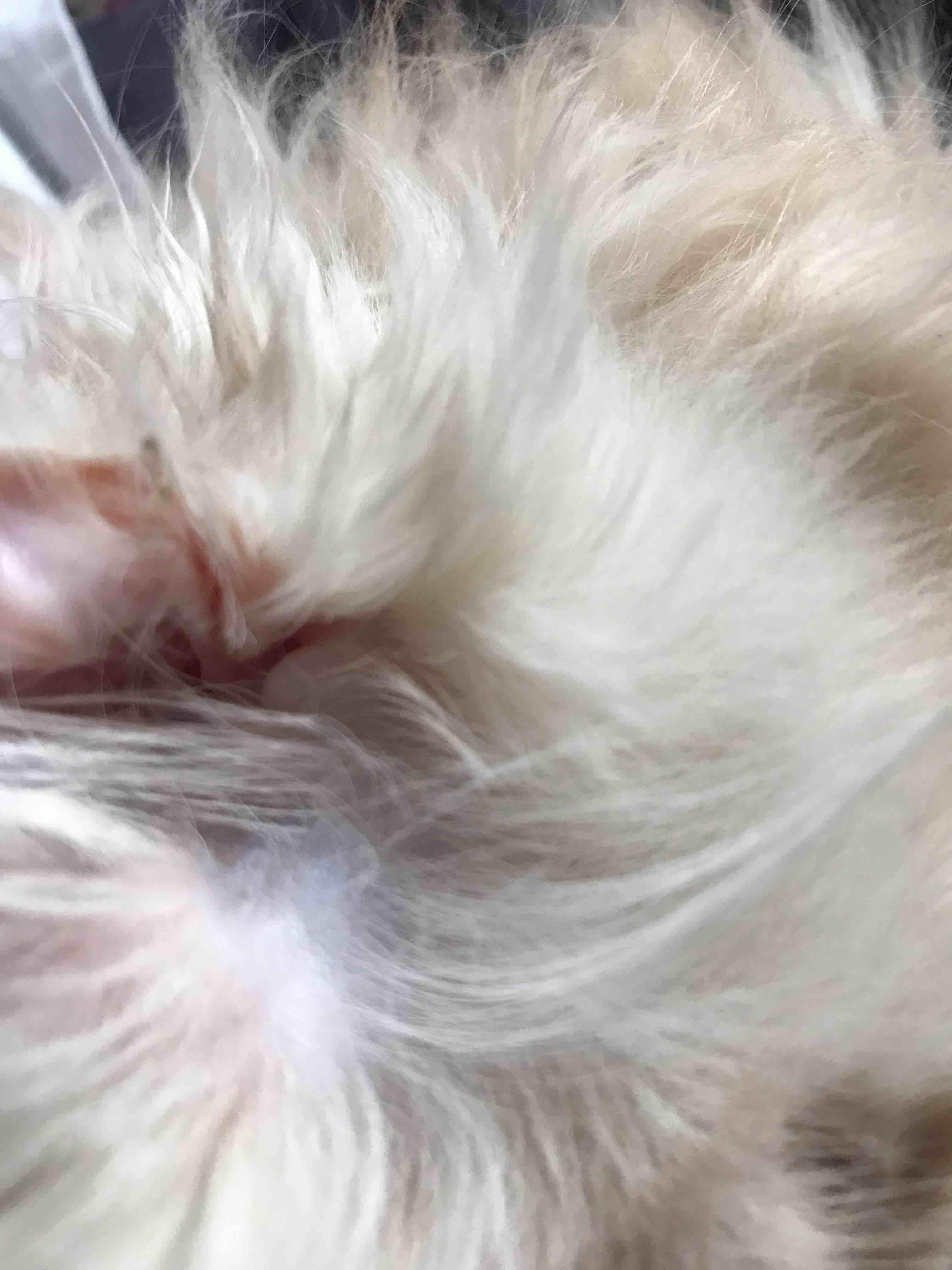 Question details sensitive content