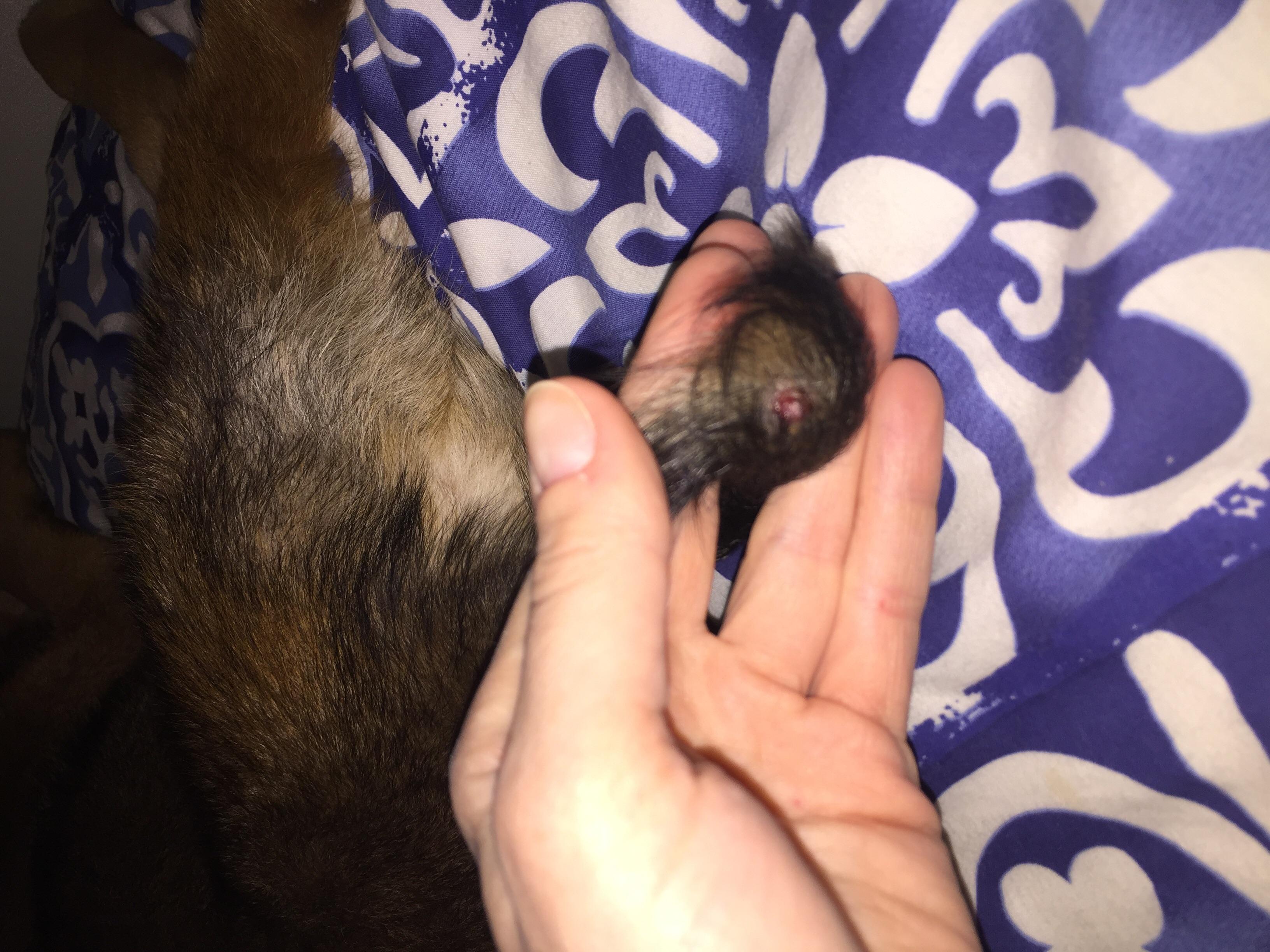 Question details sensitive content