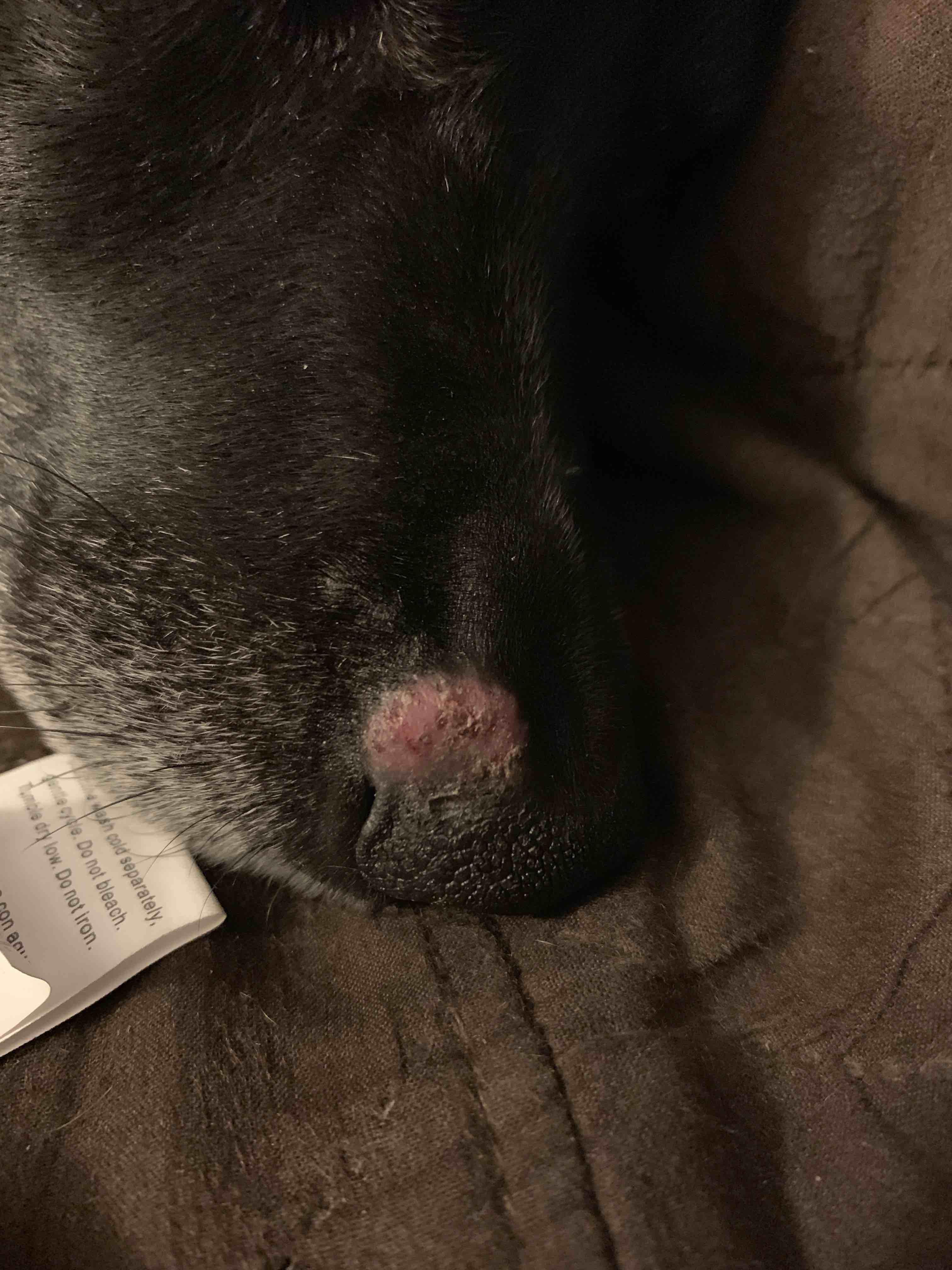 Question details sensitive content