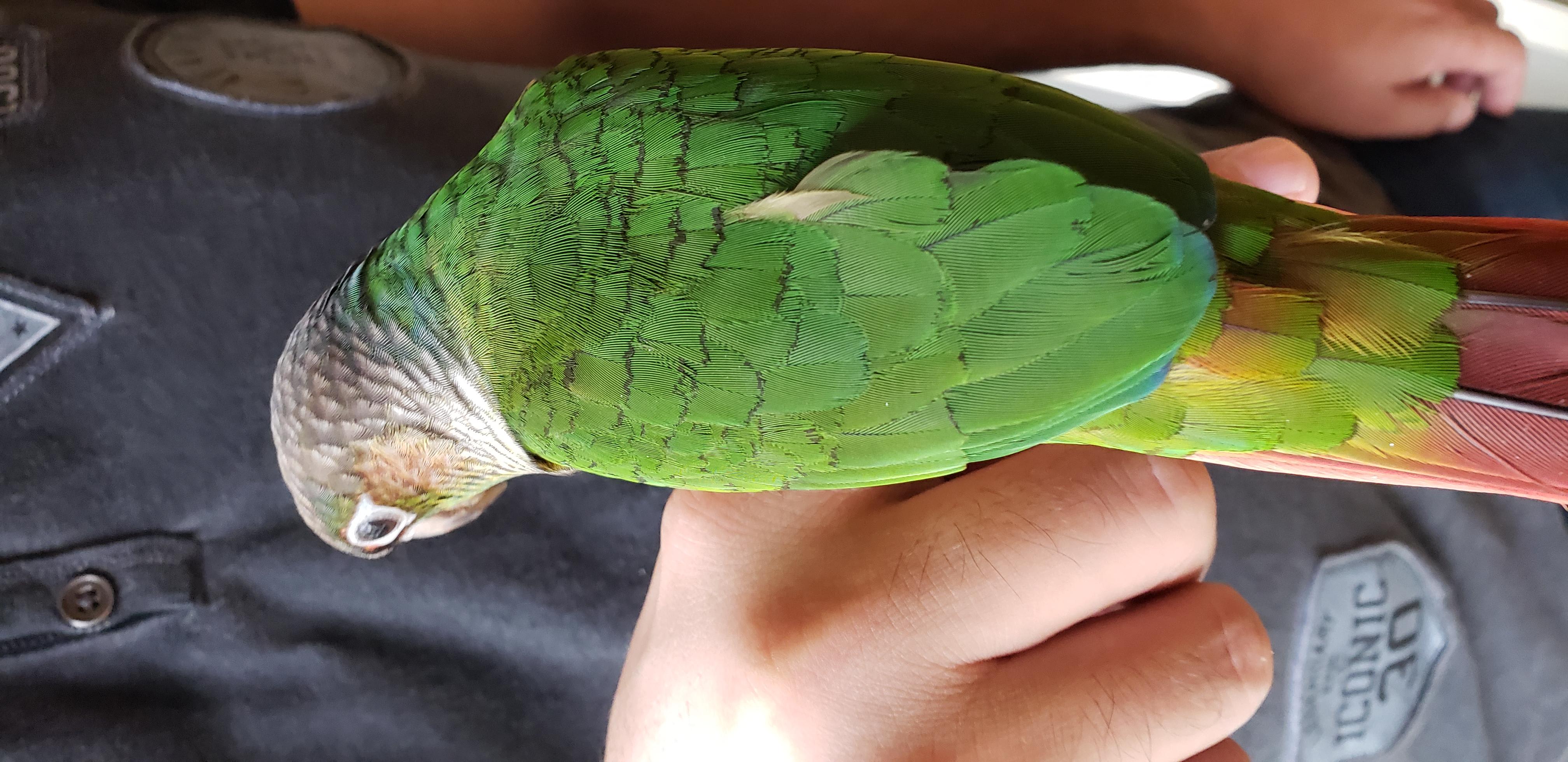 Question details sensitive content