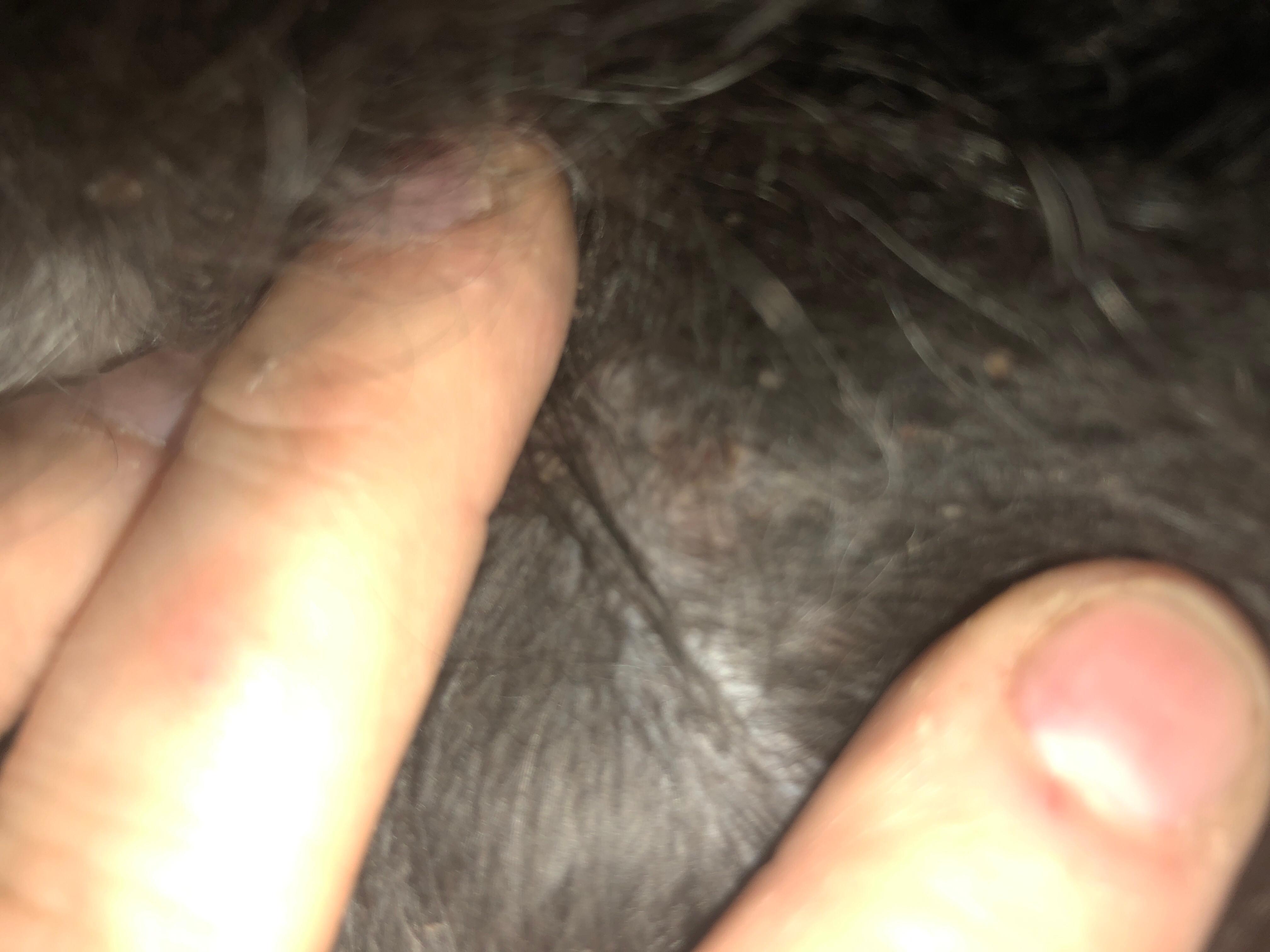 Question details sensitive content