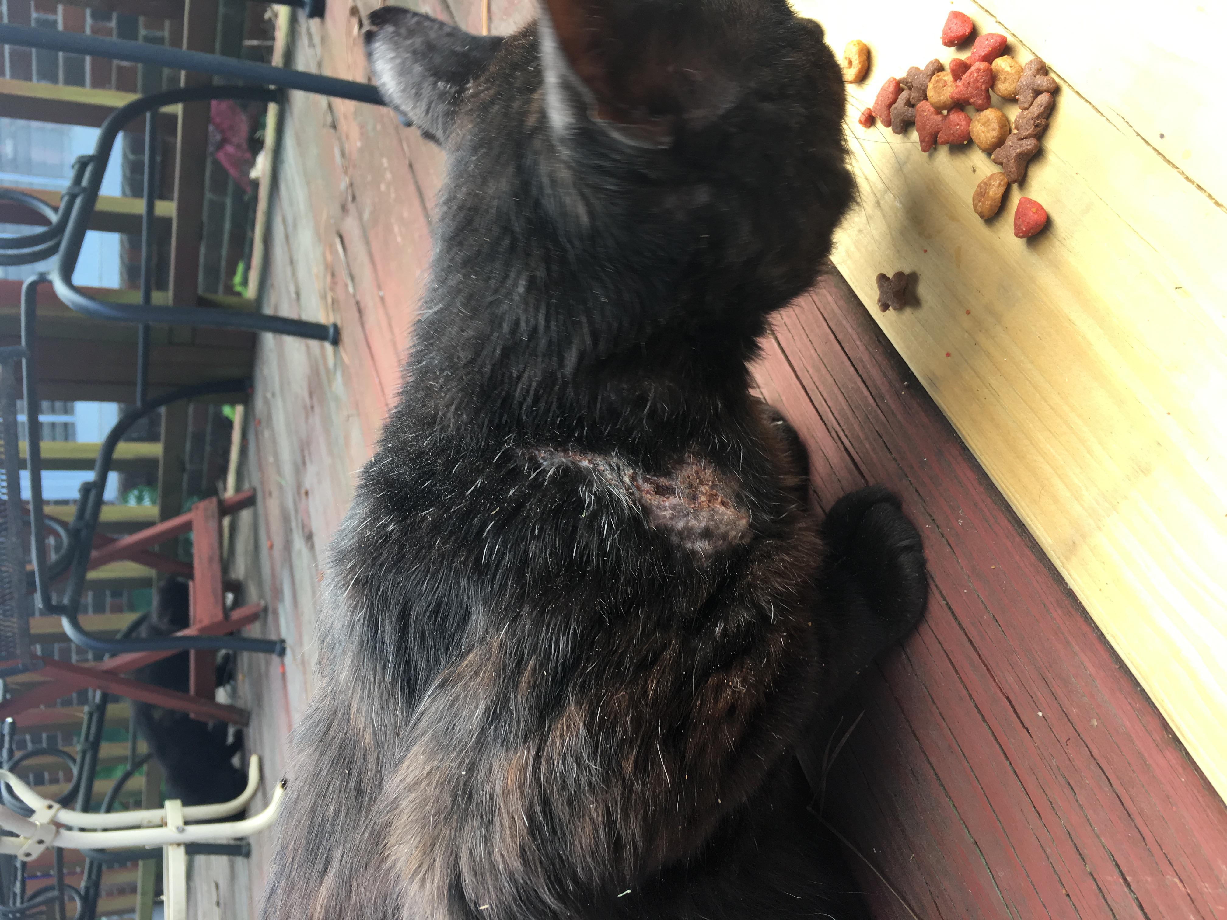 Question details sensitive content