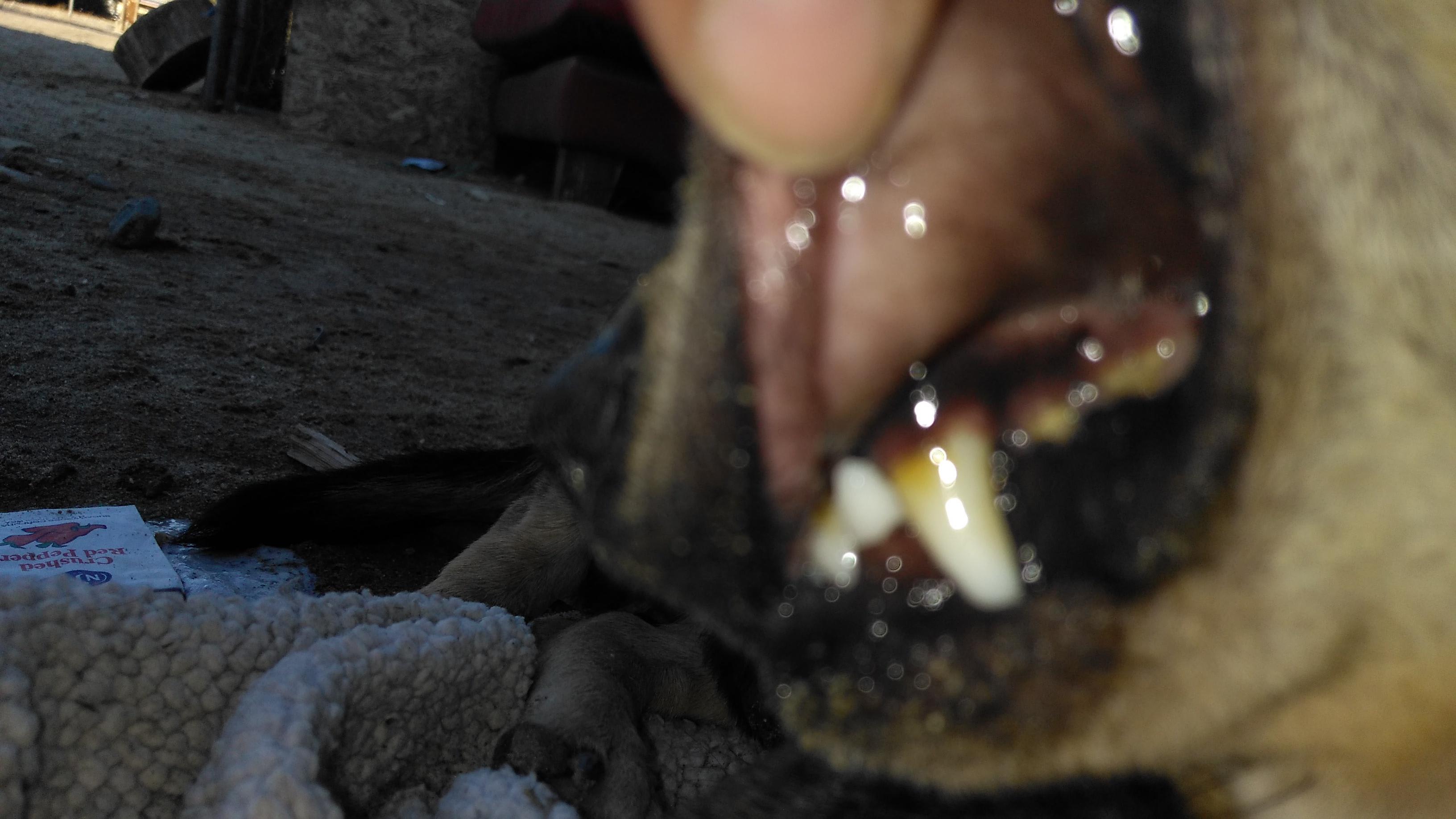 Question details sensitive content