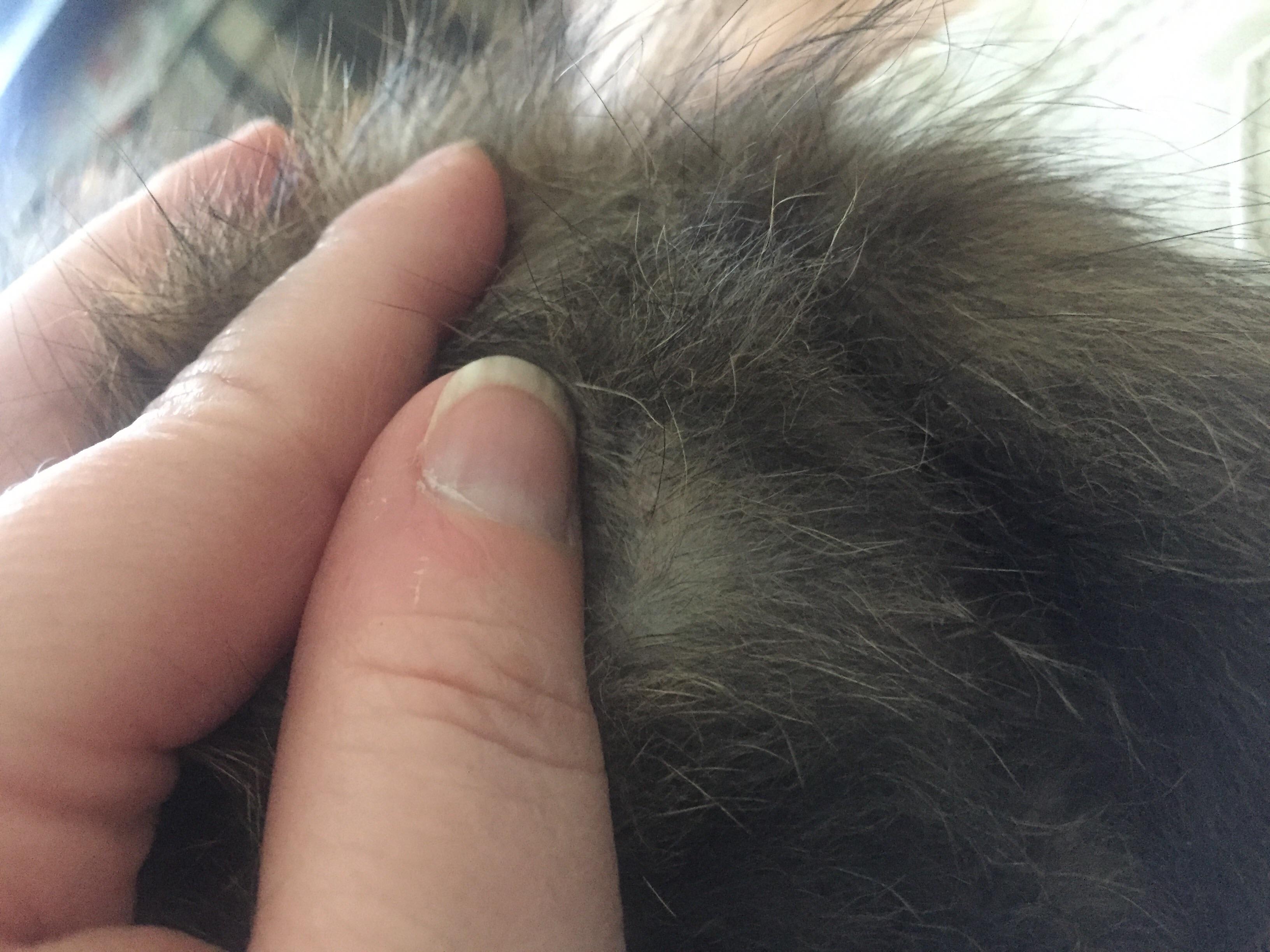 Question details sensitive content