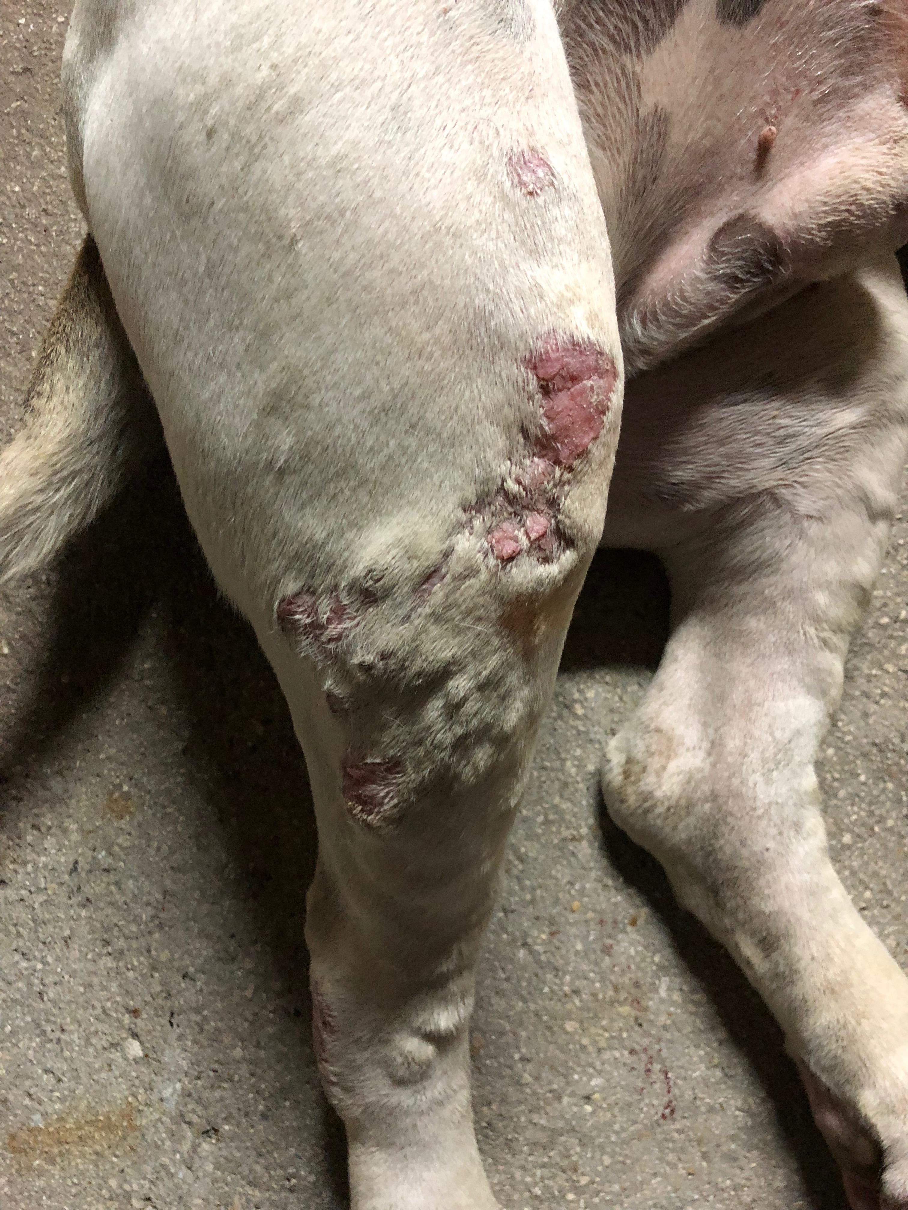 Question details sensitive content