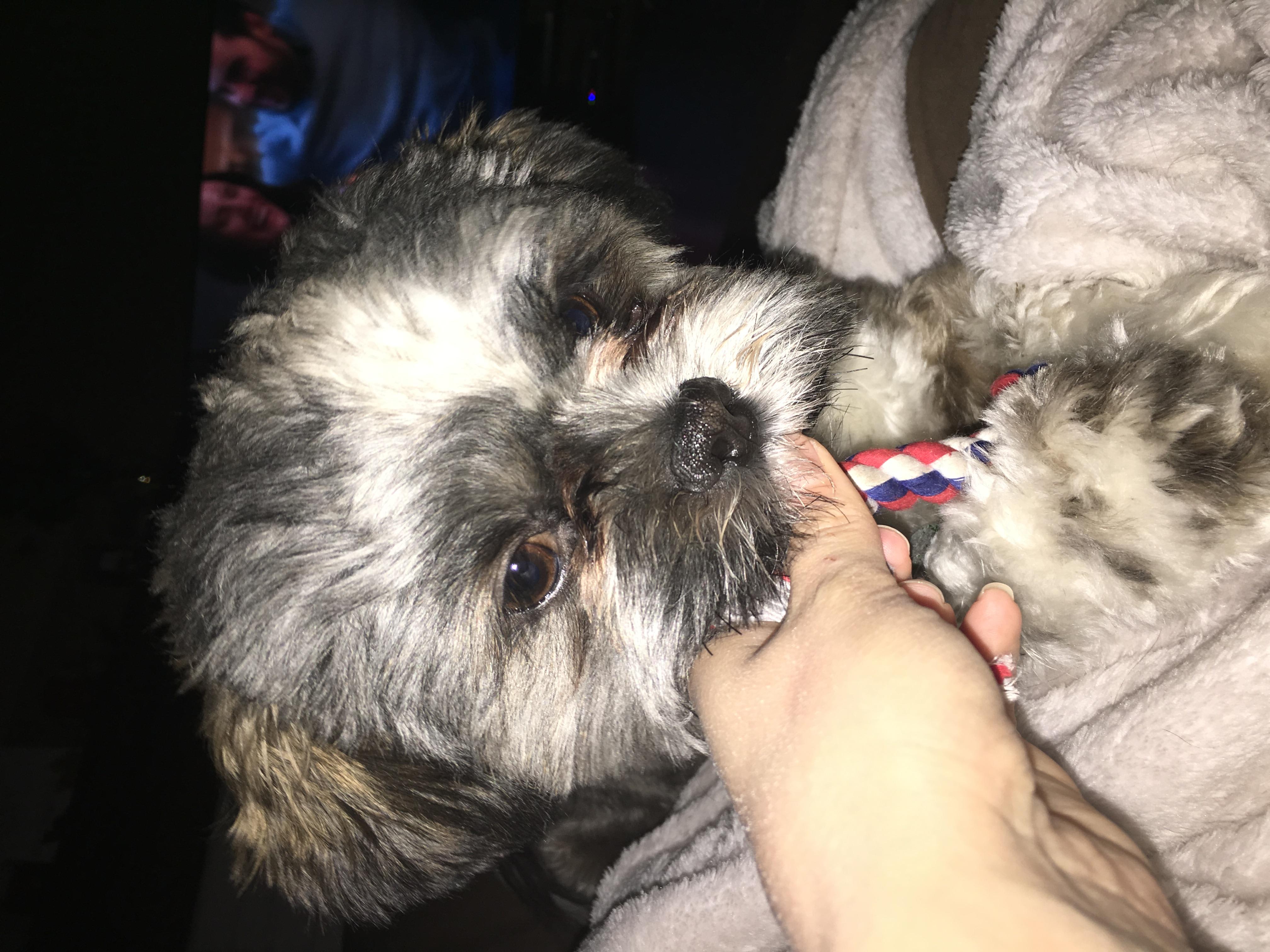 Question details sensitive content