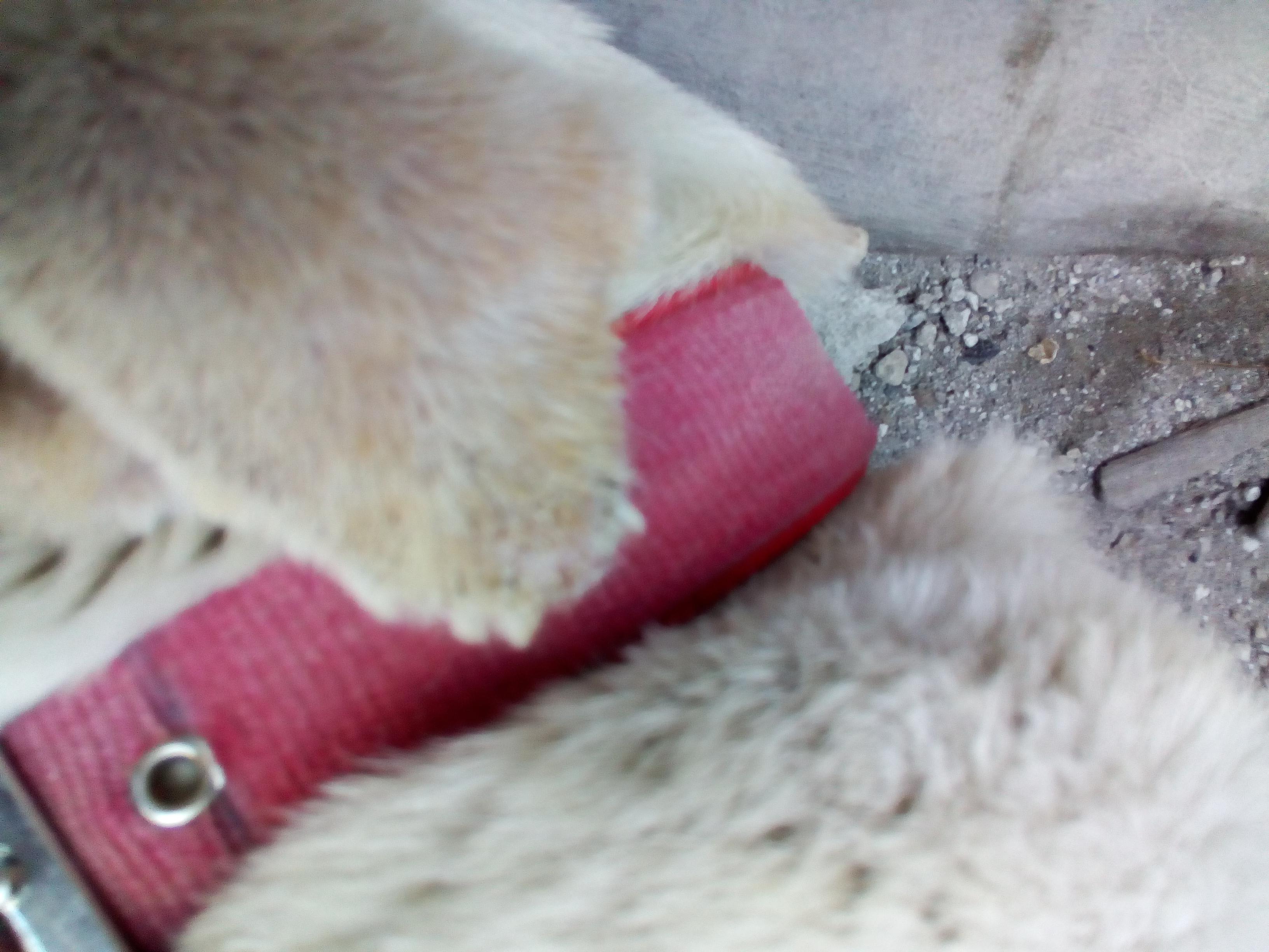 Question details sensitive content