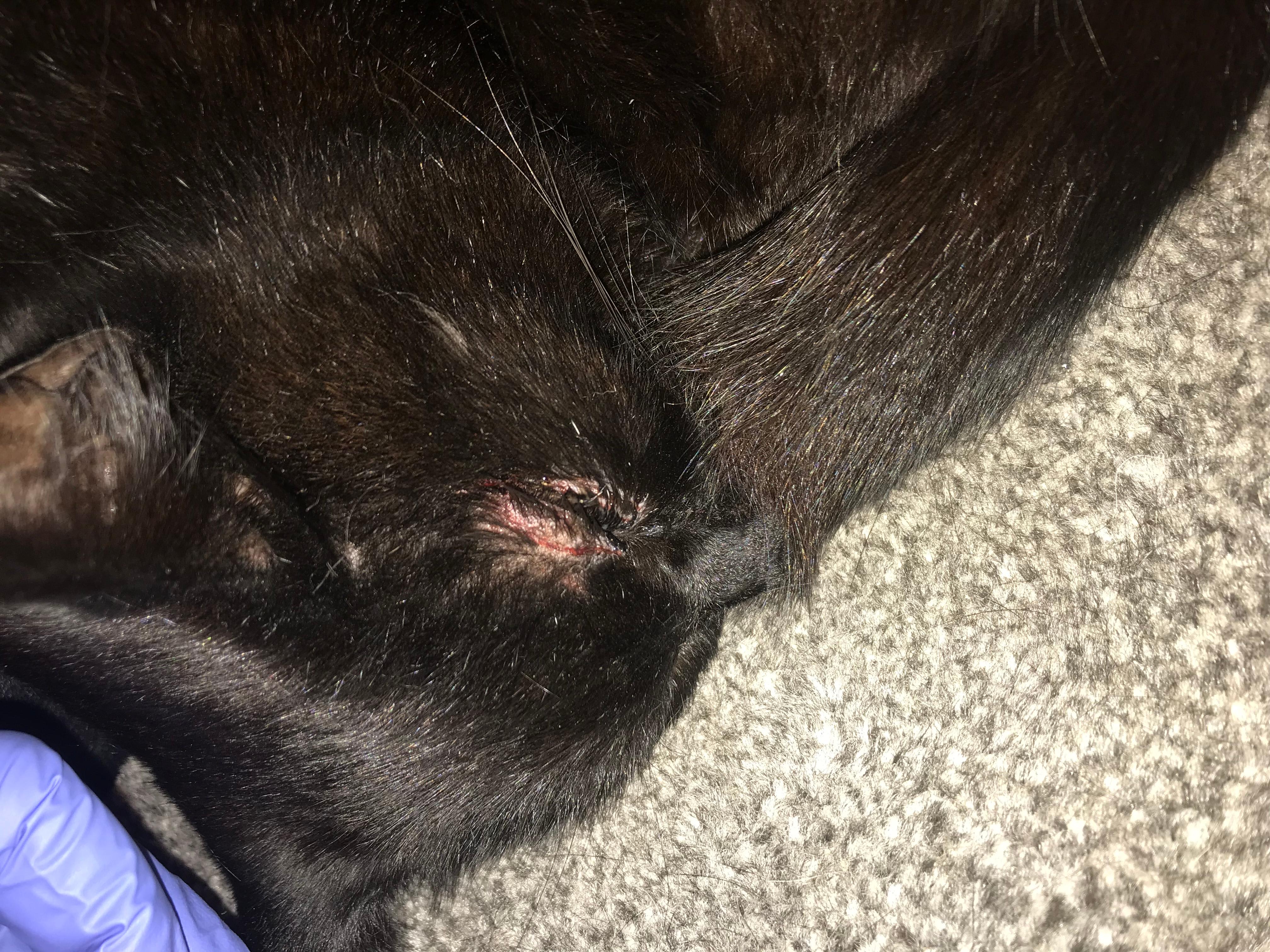 Question details sensitive content