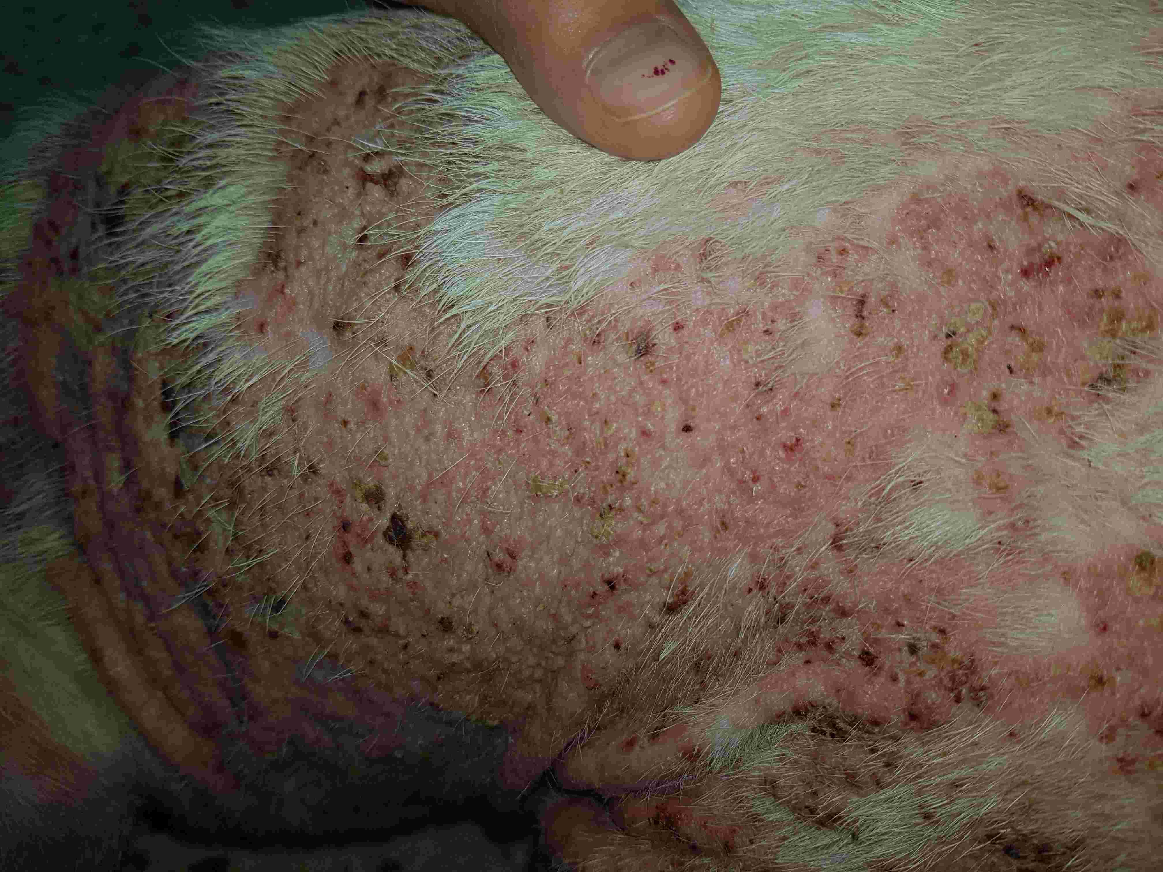 Question details sensitive content