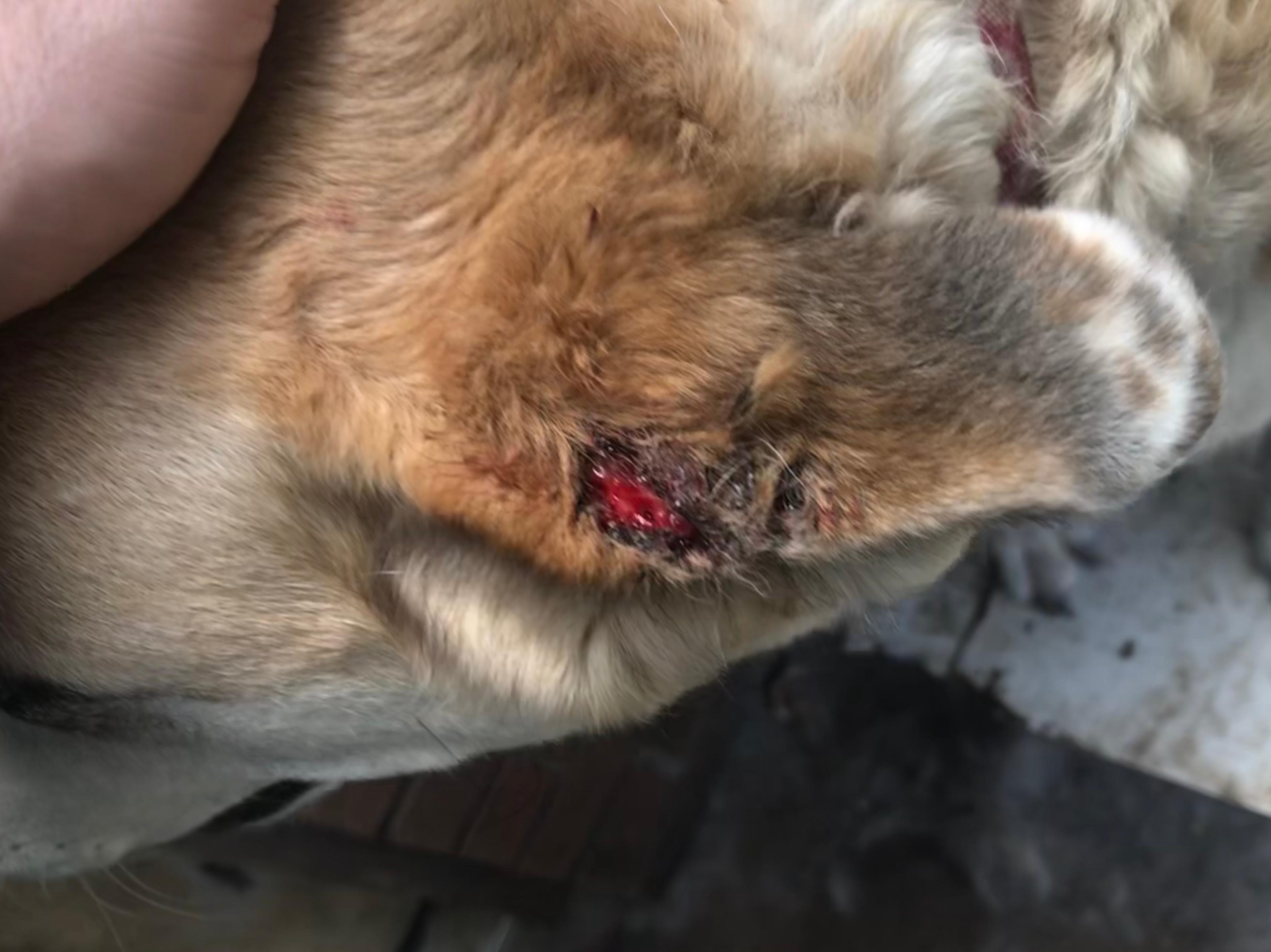 Question details sensitive content