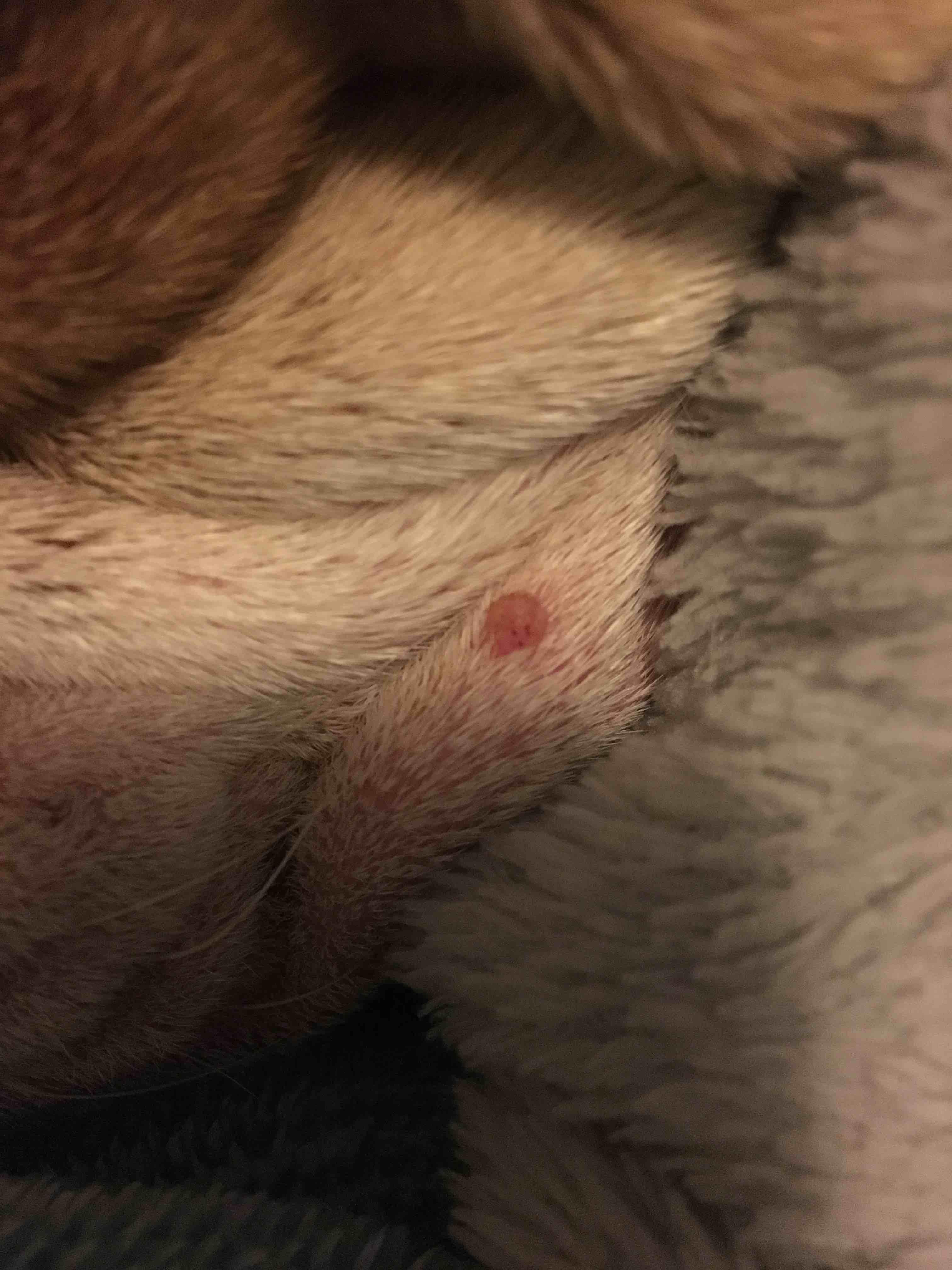 Question details sensitive content