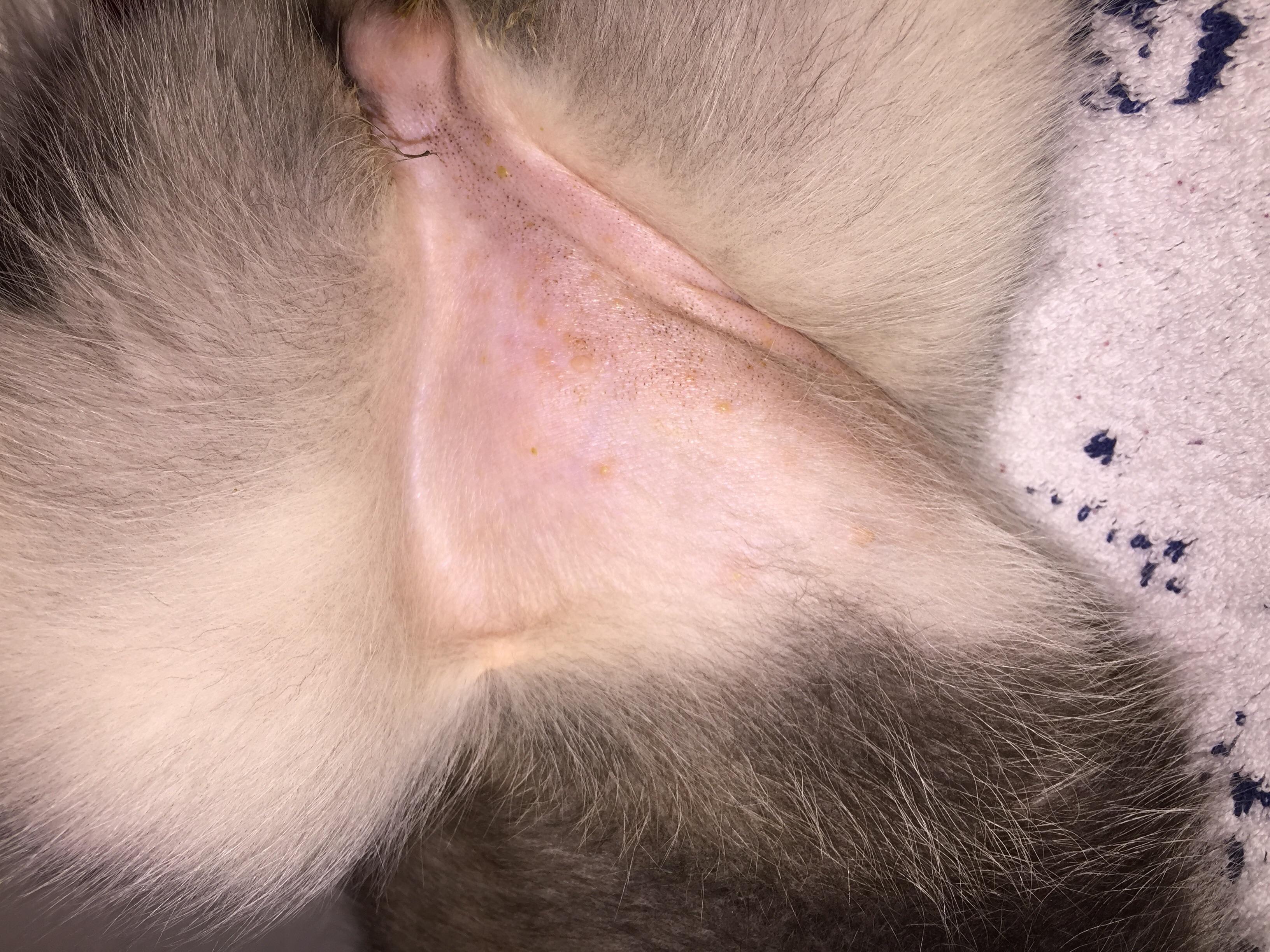 Question details sensitive content