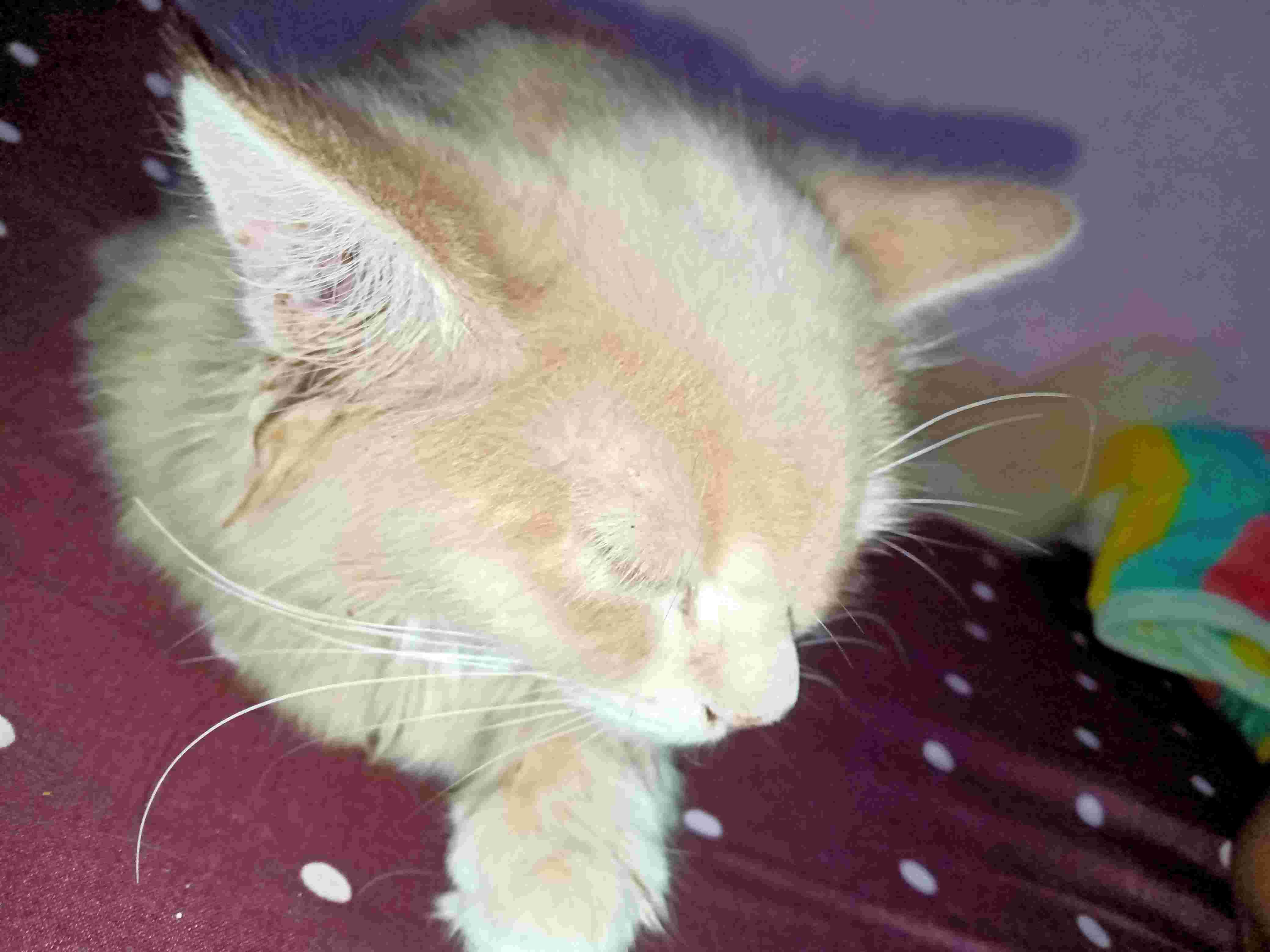 Question details sensitive content