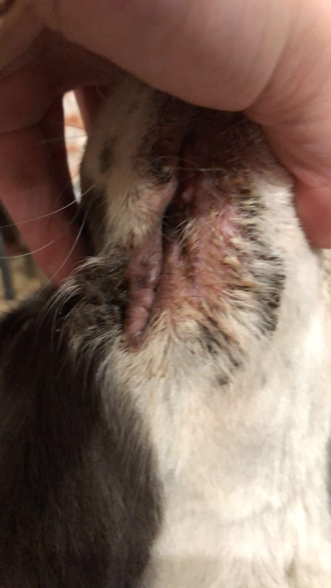 Question details sensitive content