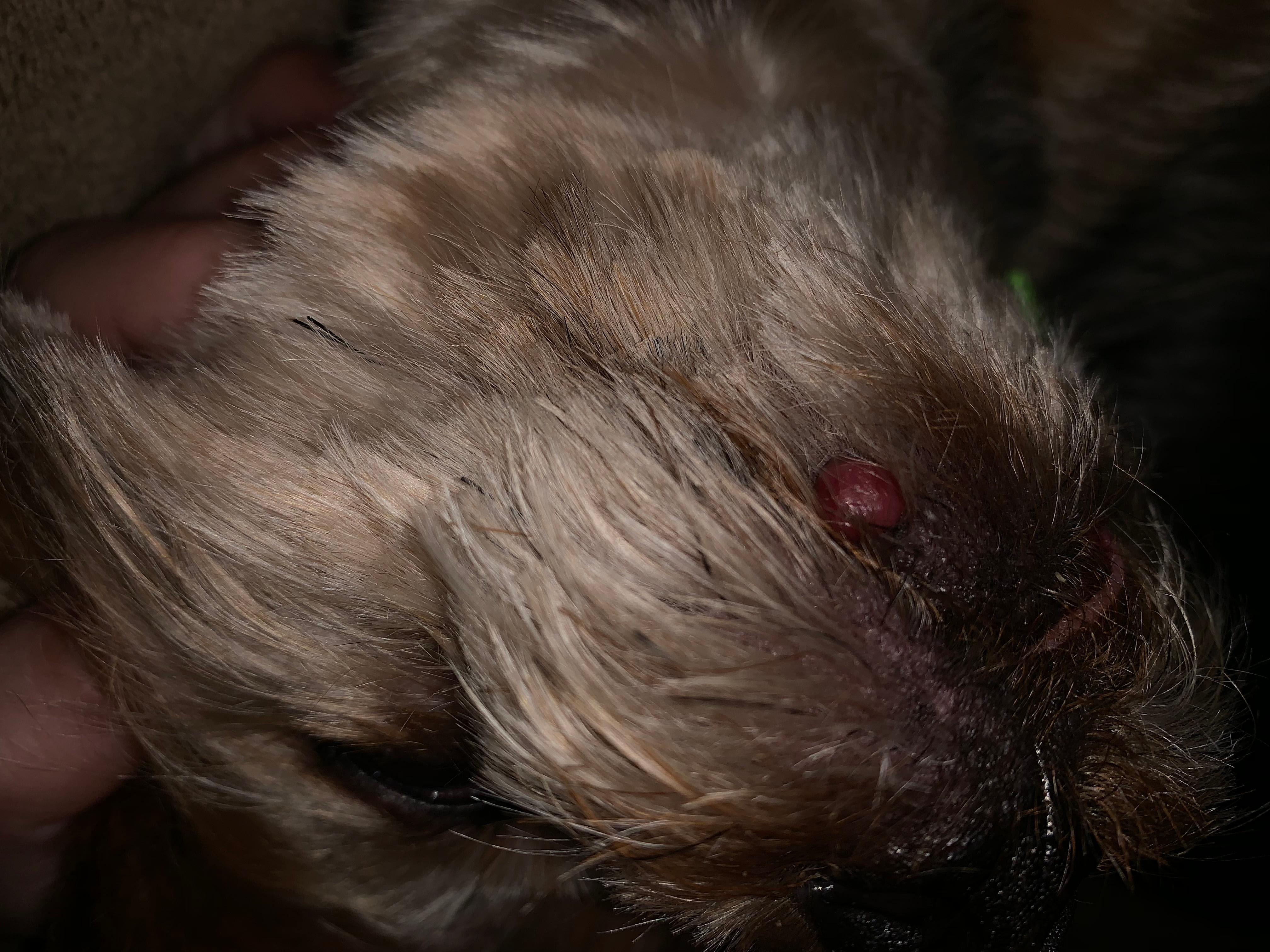 Question details sensitive content