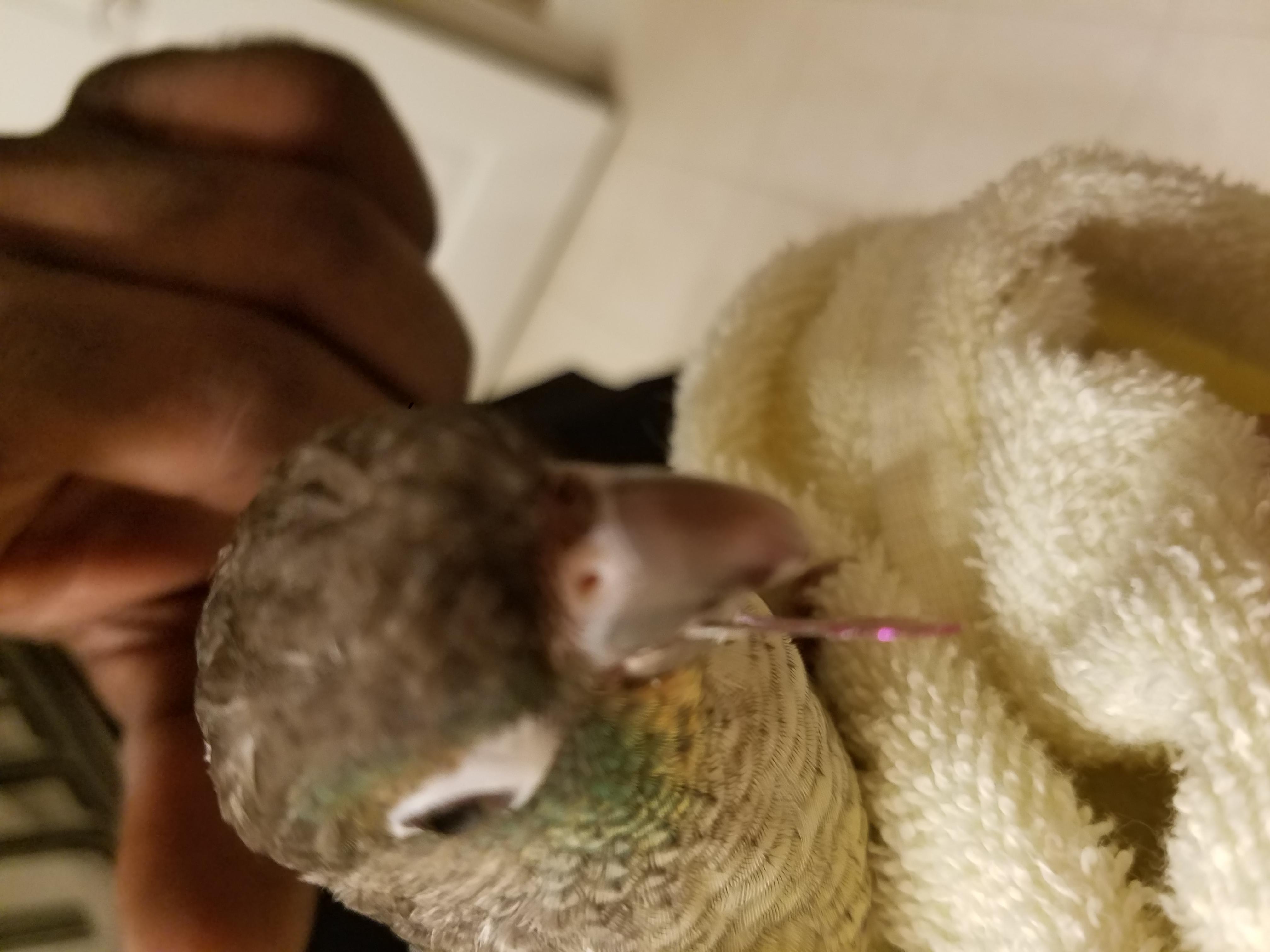 Question details sensitive content