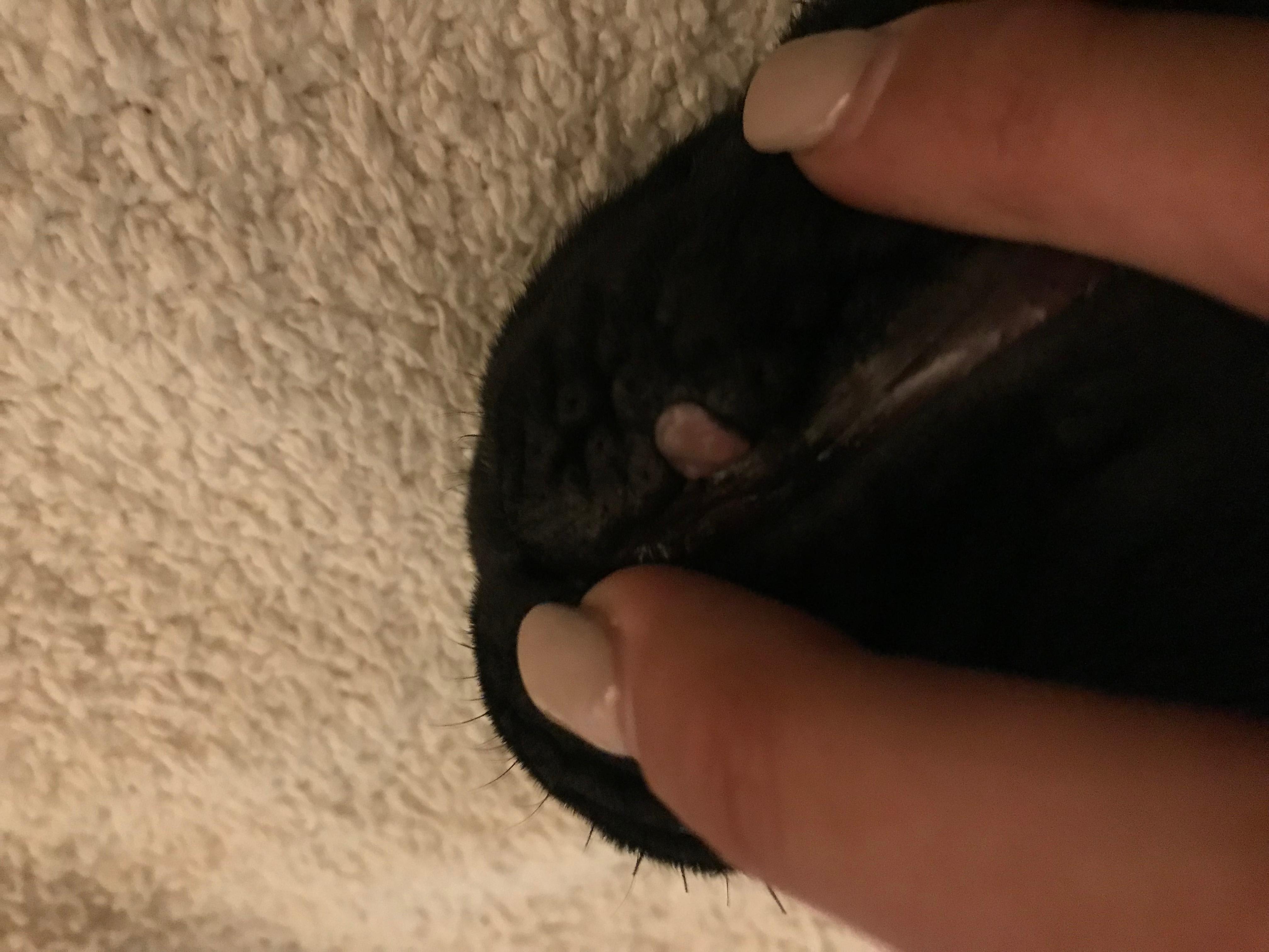 Question details sensitive content