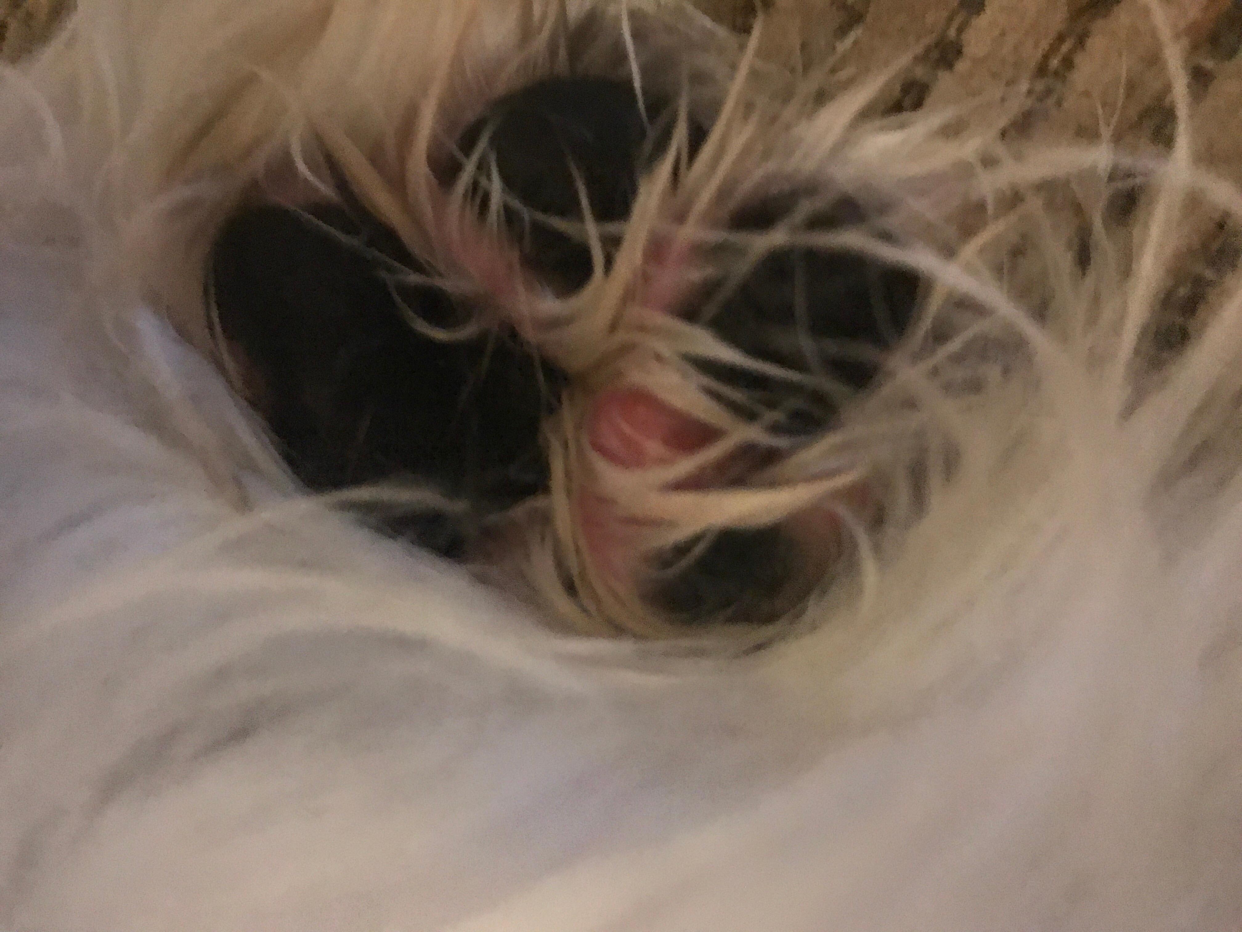 Question details sensitive content