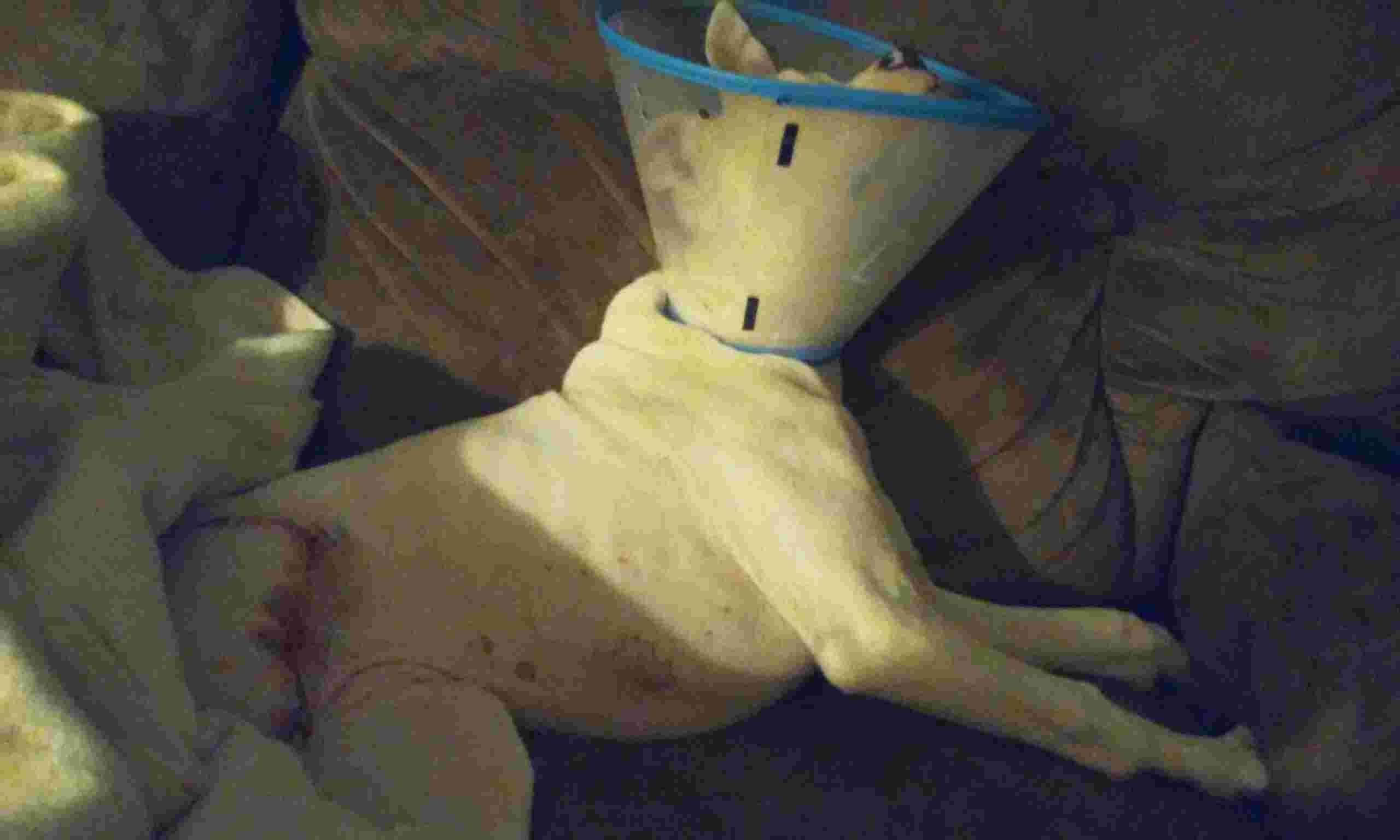 Question details sensitive content