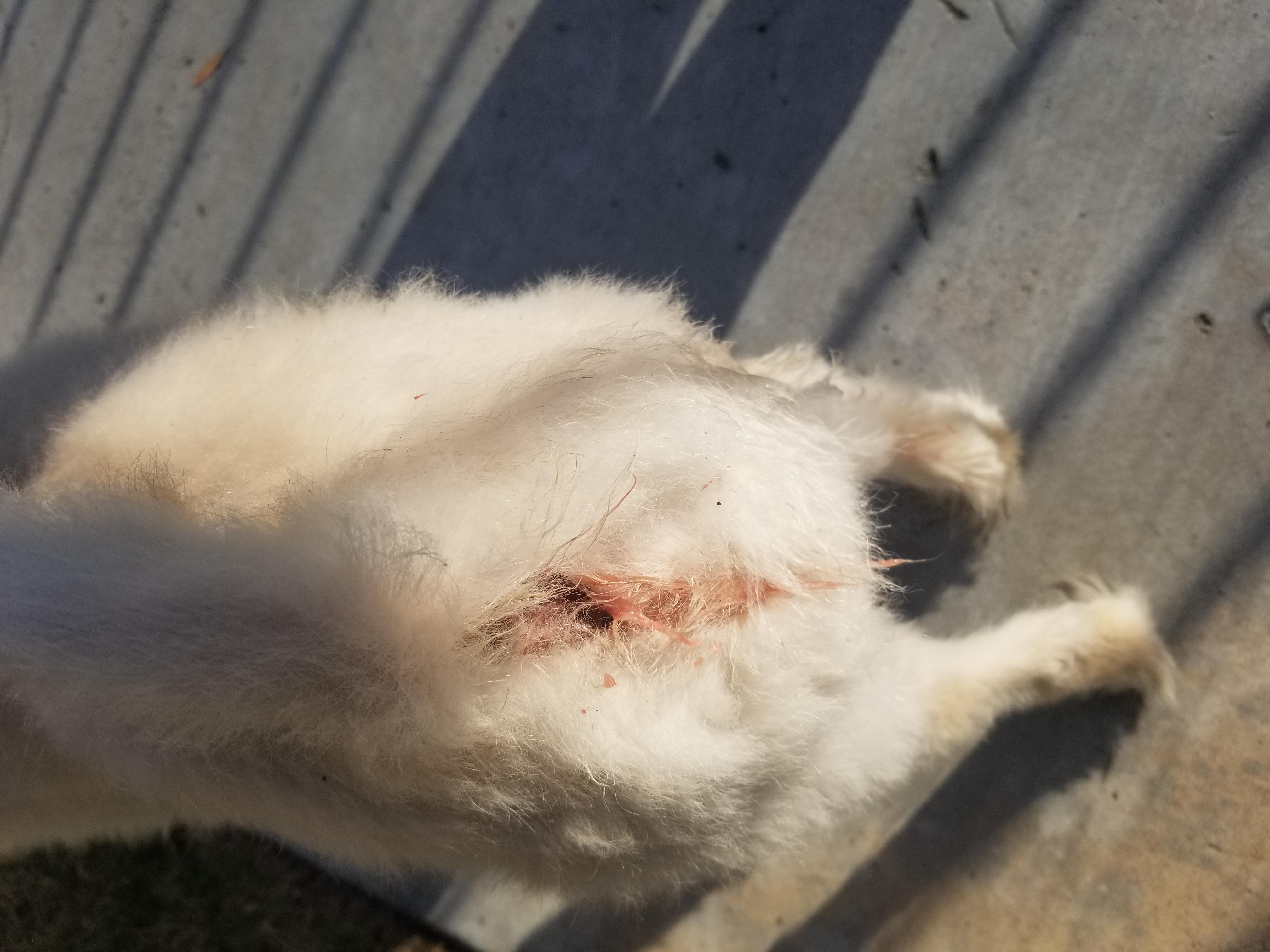 Question details sensitive content