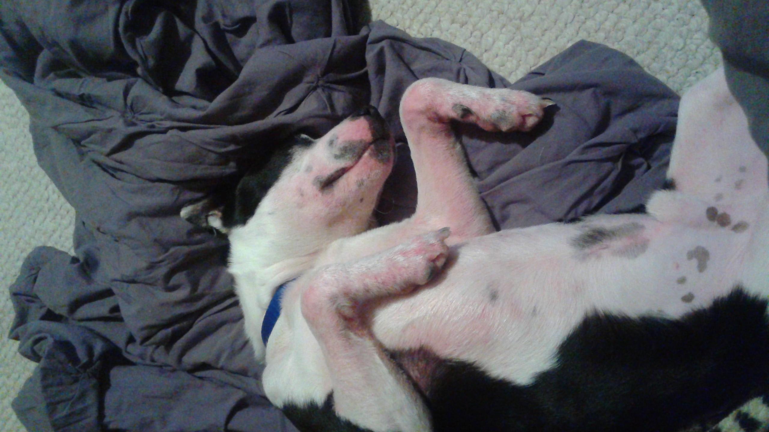 Question details sensitive content