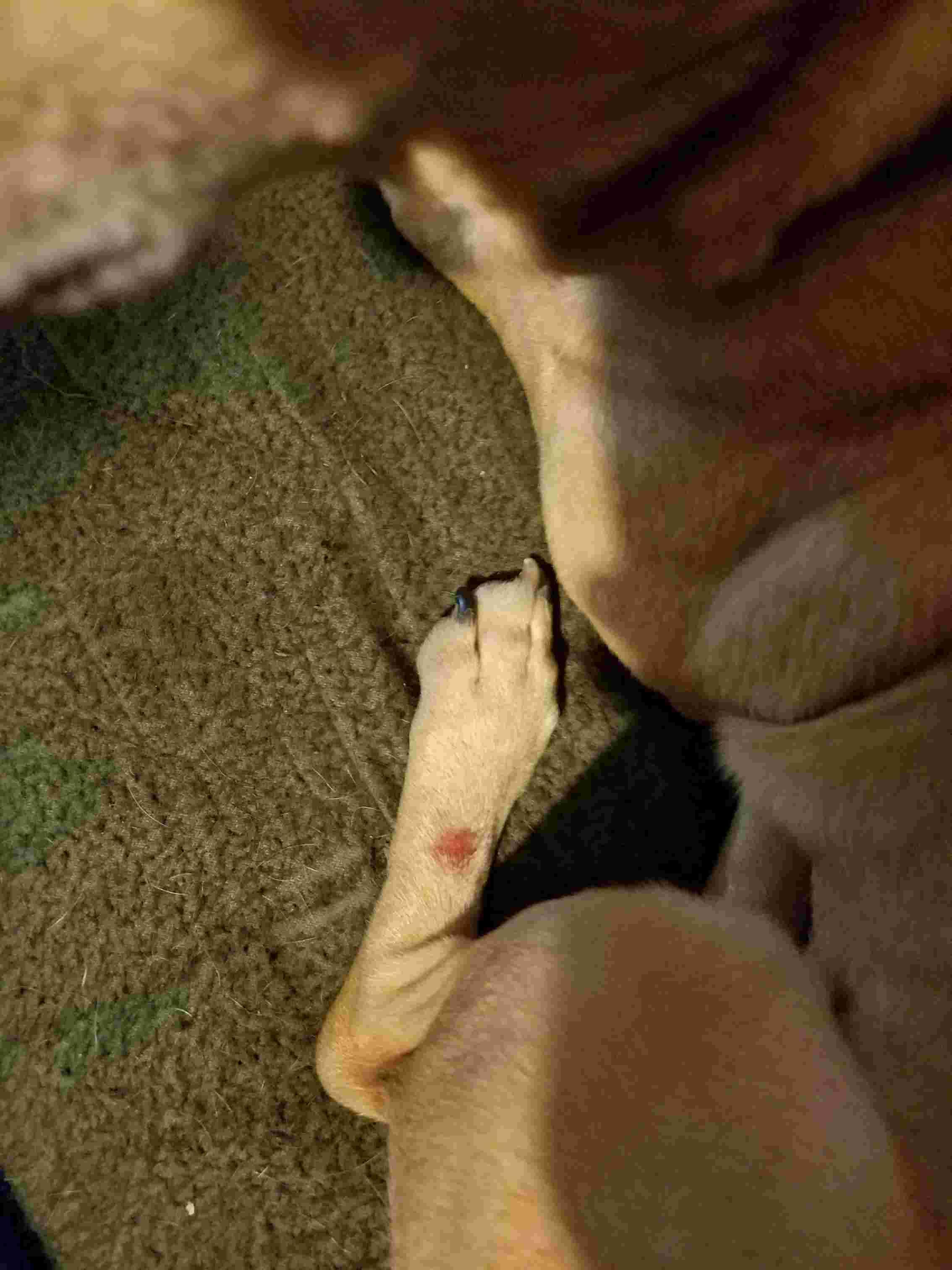 Question details sensitive content