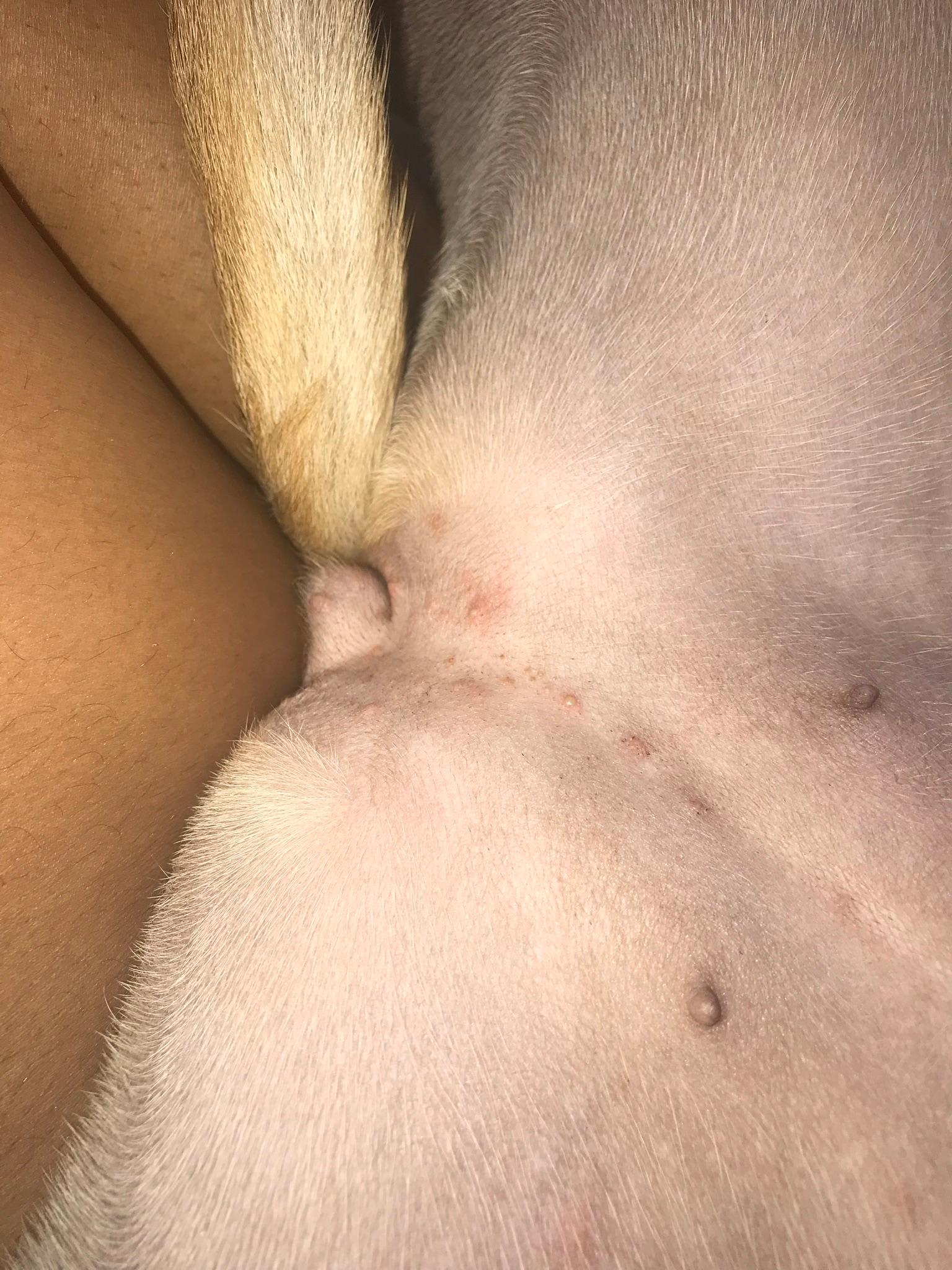 Question details sensitive content