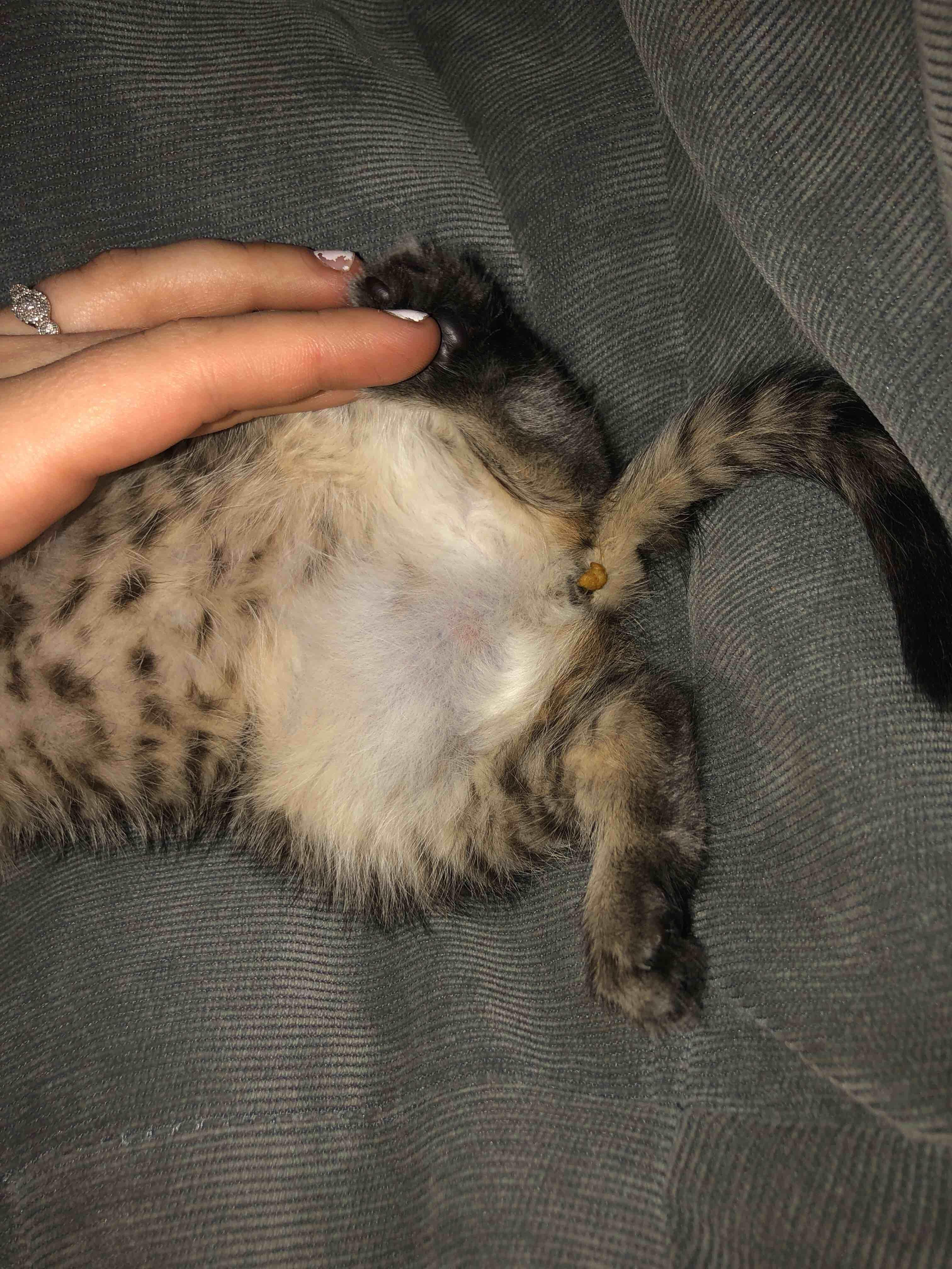 Question details sensitive content