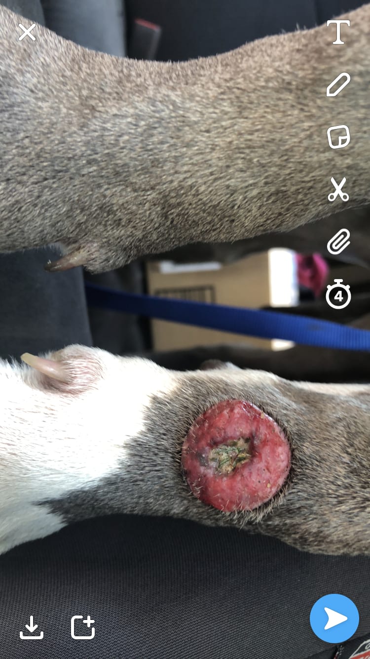 Question details sensitive content