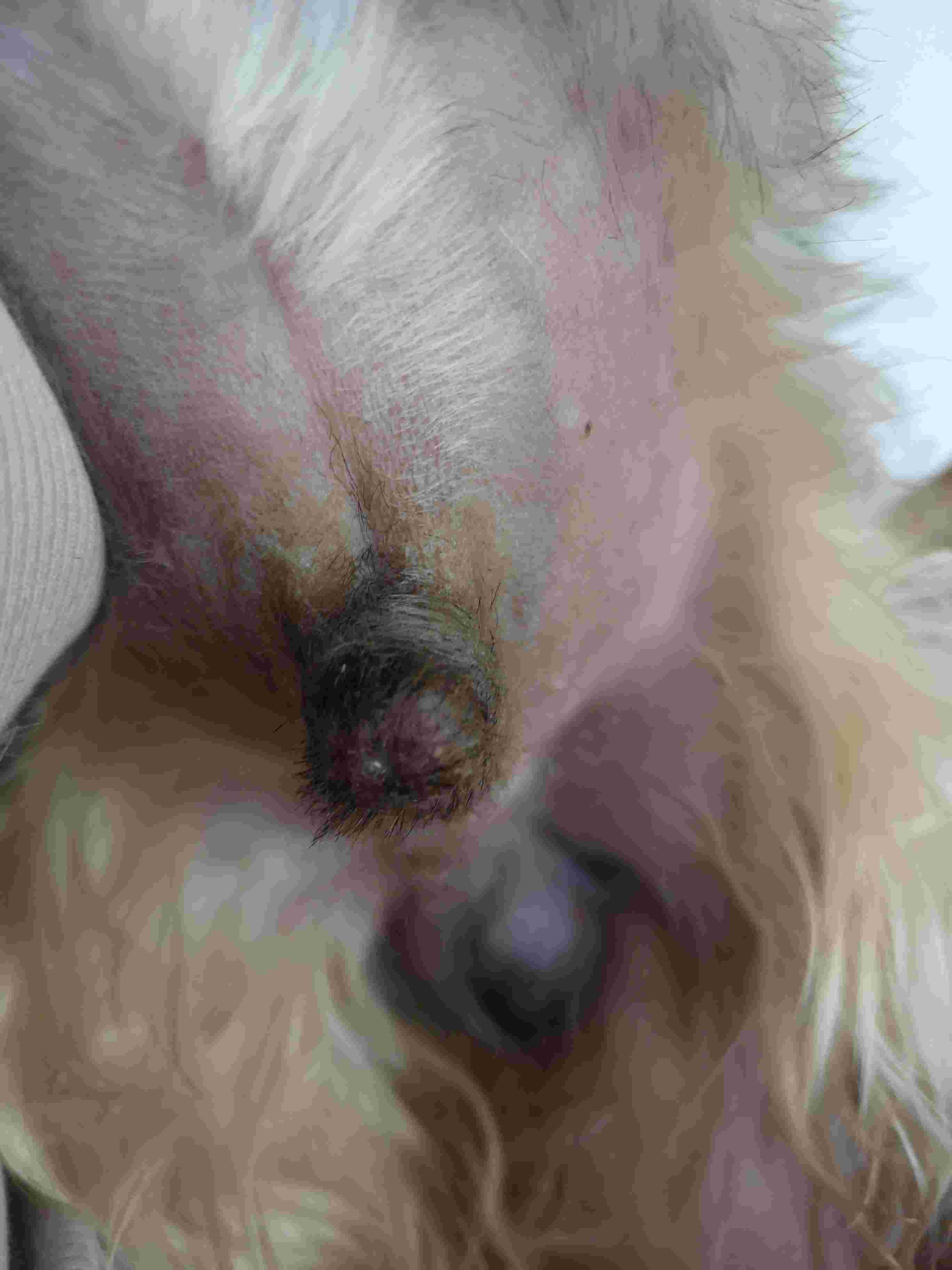 Question details sensitive content