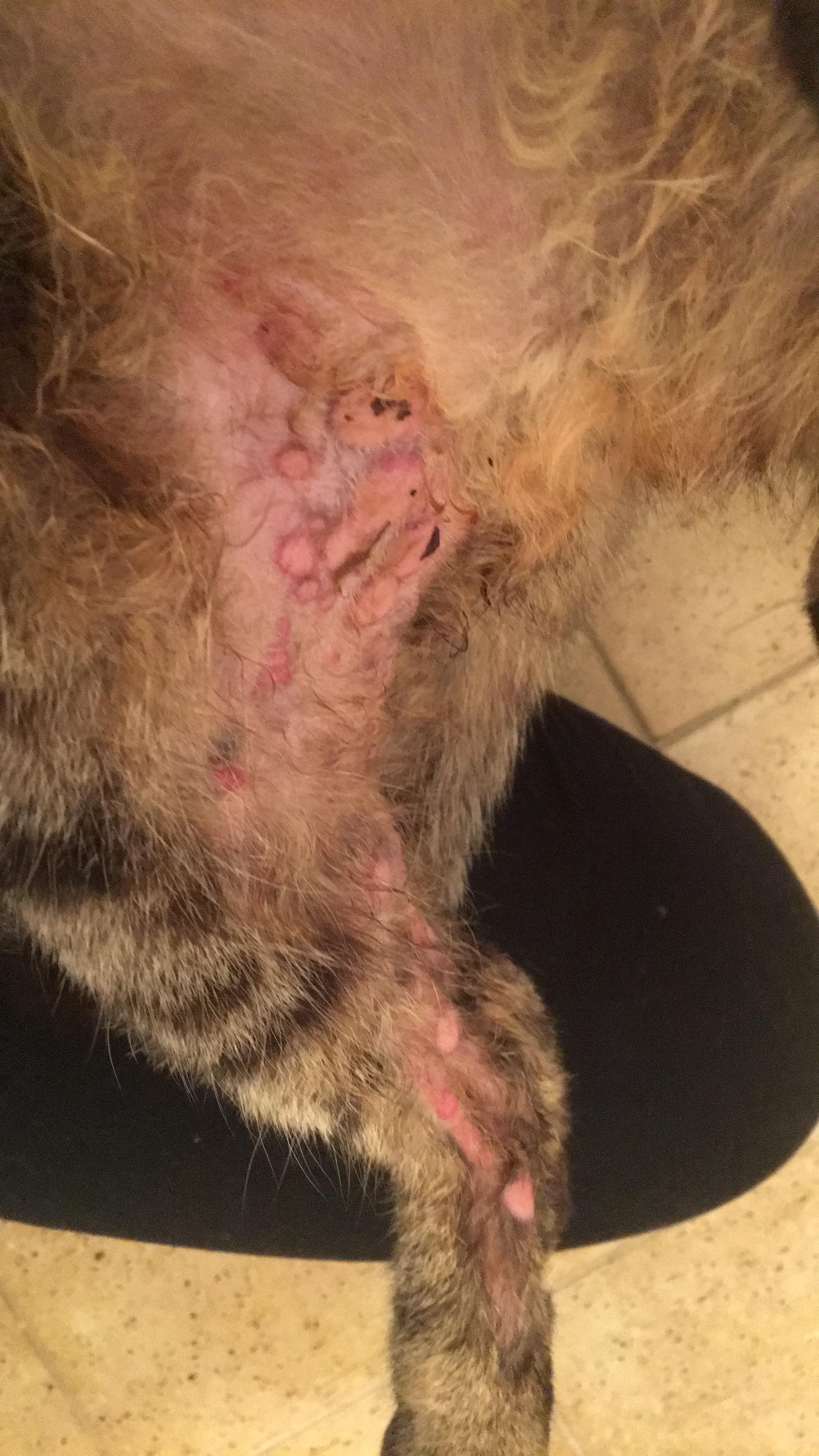 Question details sensitive content