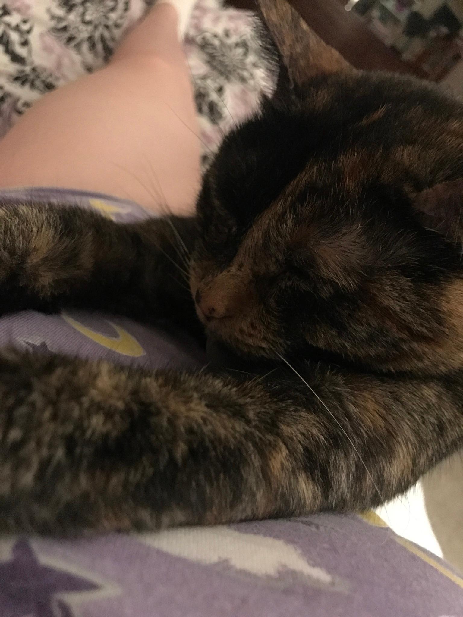 Question details sensitive content